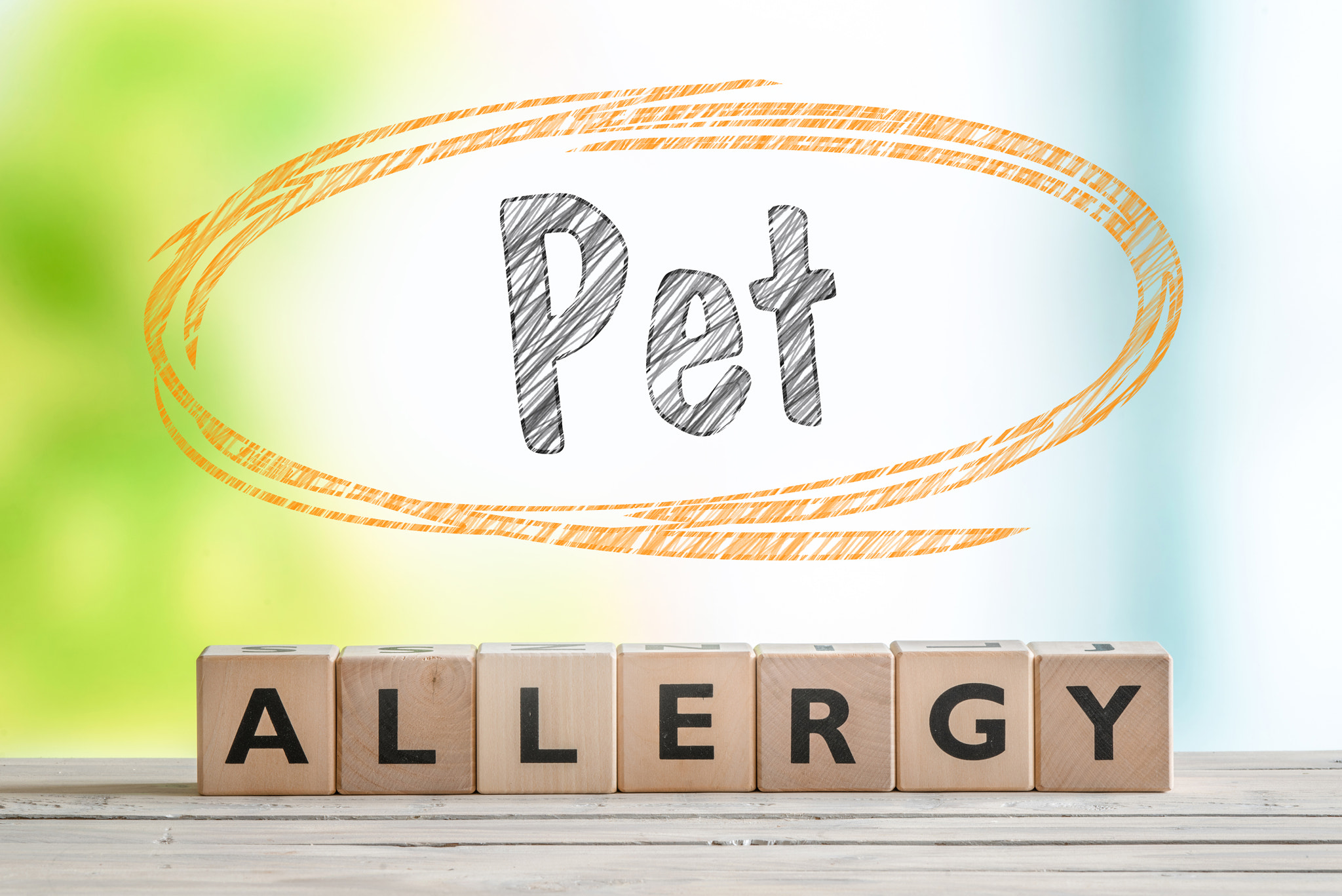 Sony 70-400mm F4-5.6 G SSM II sample photo. Pet allergy sign on a wooden desk photography