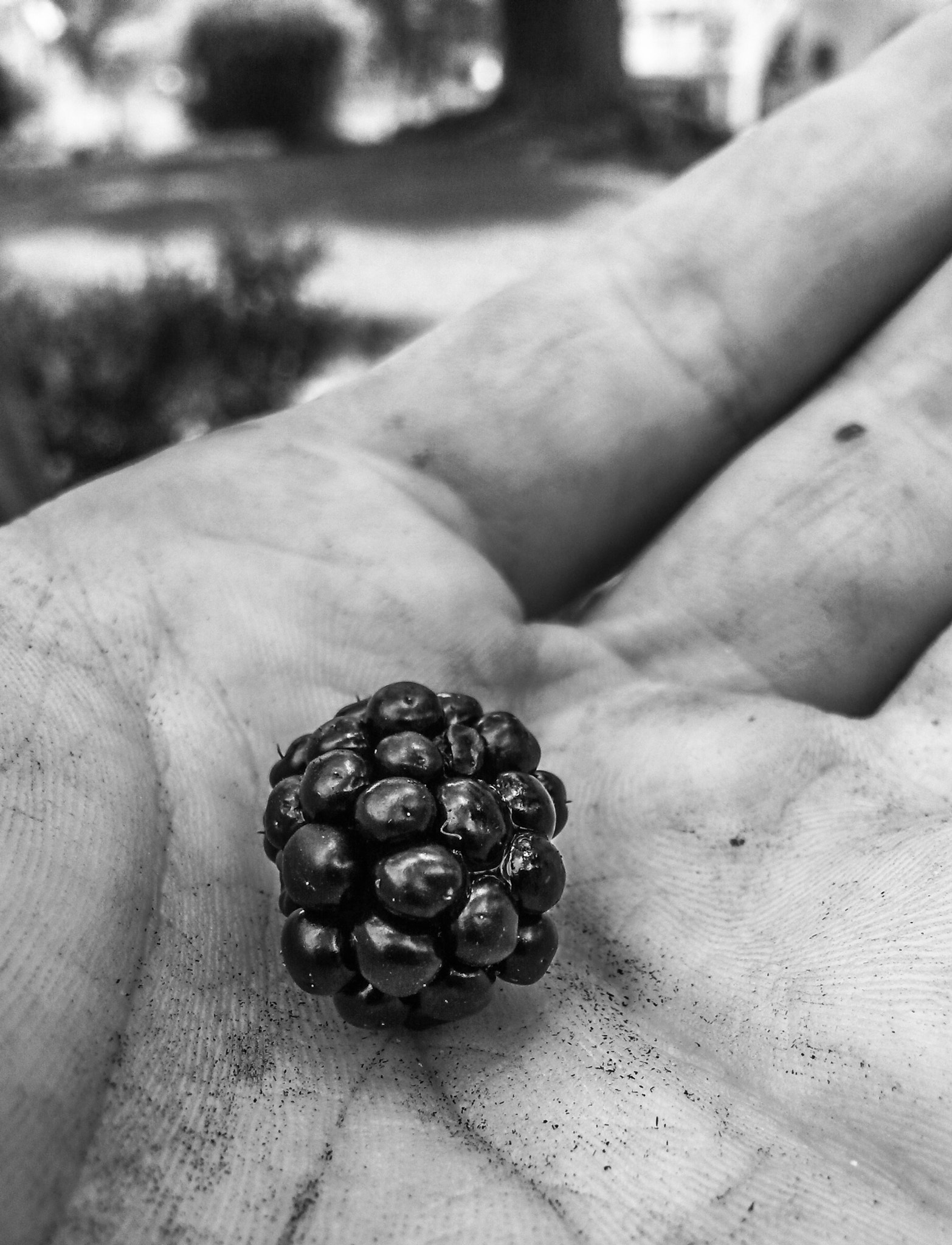 Samsung Galaxy S4 Active sample photo. Blackberry photography