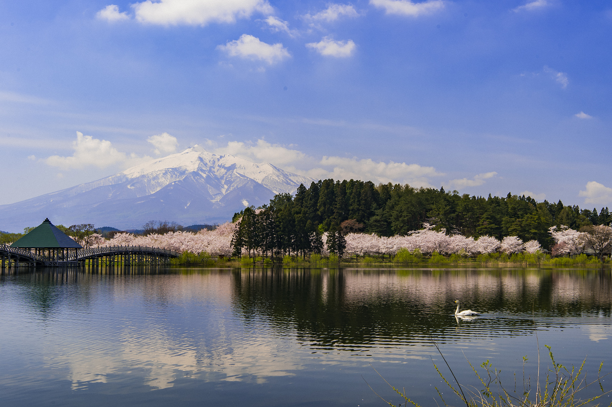 Nikon AF-S Nikkor 24-70mm F2.8E ED VR sample photo. Spring of the park overlooking mount iwaki photography