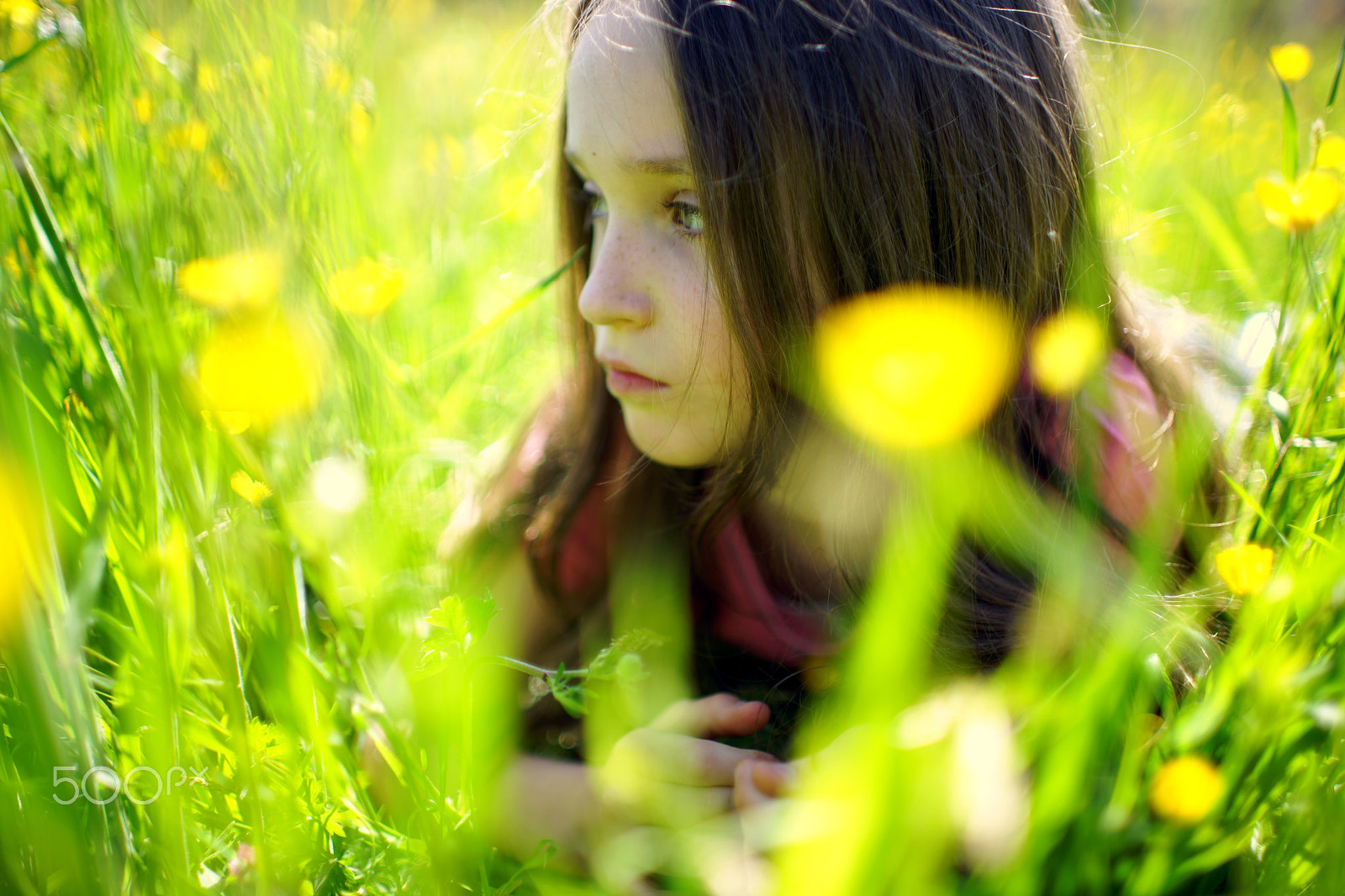 Sony a99 II + Sony 35mm F1.4 G sample photo. Floweret photography