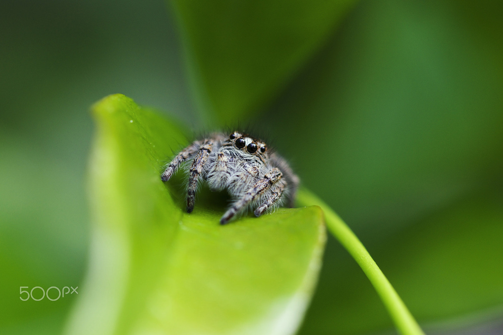 Sony SLT-A68 + 90mm F2.8 Macro SSM sample photo. Small meetings photography