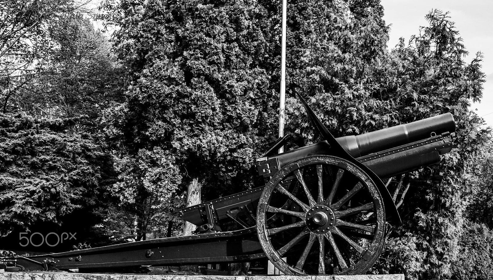 Sony Alpha DSLR-A700 + 24-70mm F2.8 sample photo. Cannon photography