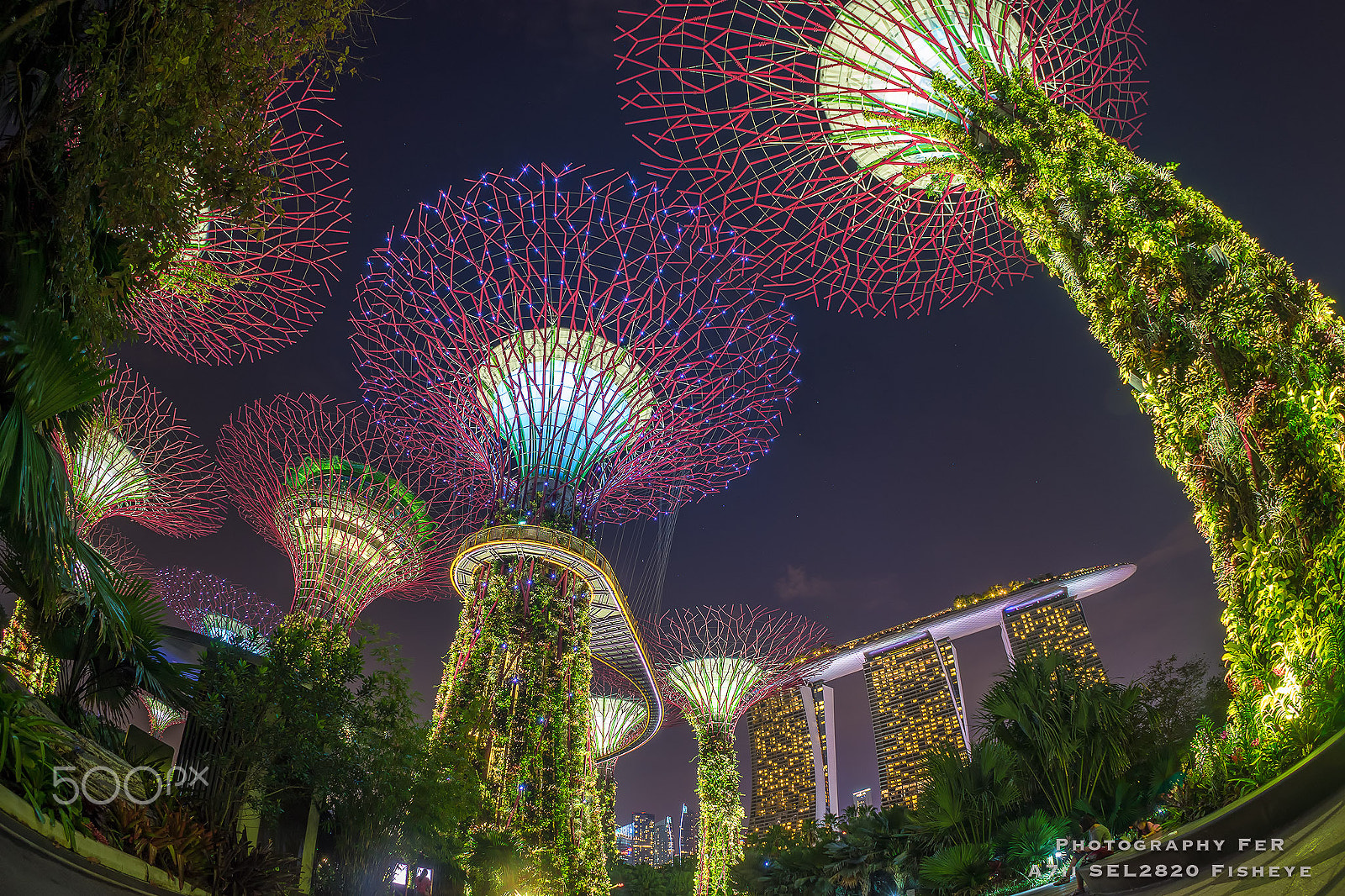 Sony FE 28mm F2 sample photo. Super tree groove, singapore. photography