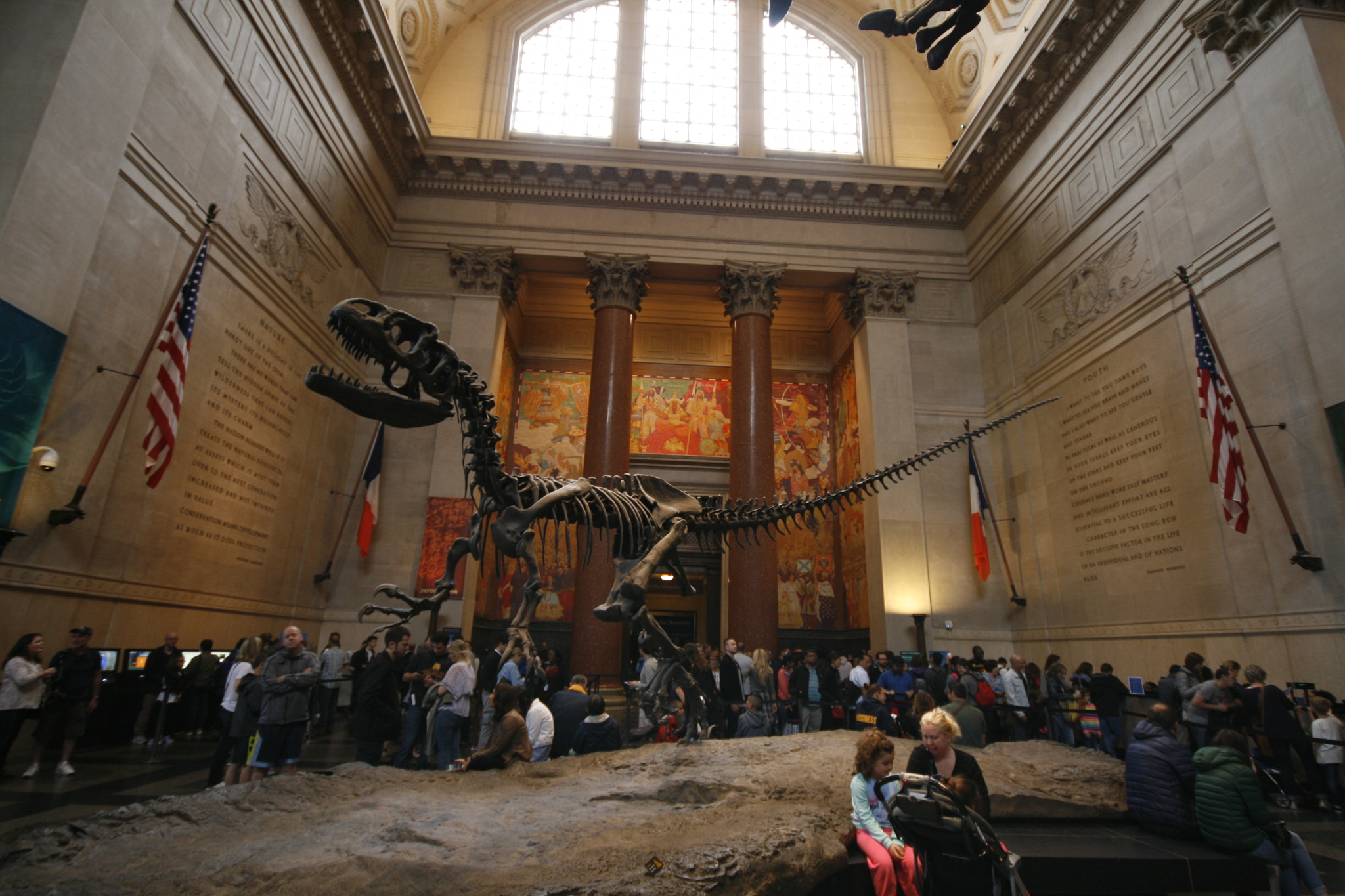 Canon EOS 400D (EOS Digital Rebel XTi / EOS Kiss Digital X) sample photo. American museum of natural history photography