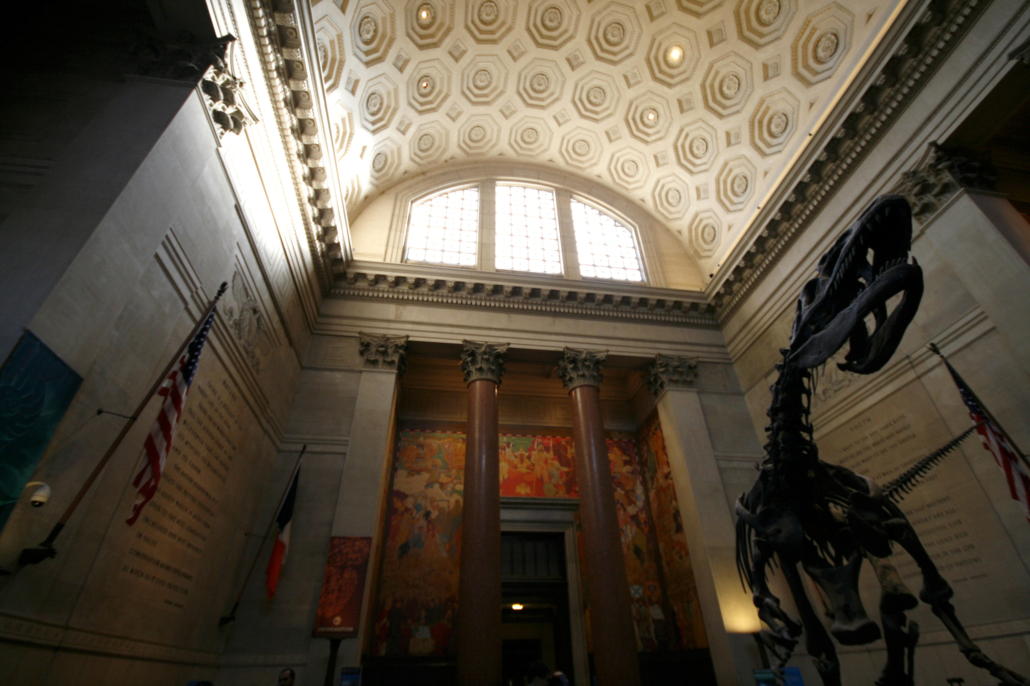 Canon EOS 400D (EOS Digital Rebel XTi / EOS Kiss Digital X) sample photo. American museum of natural history photography