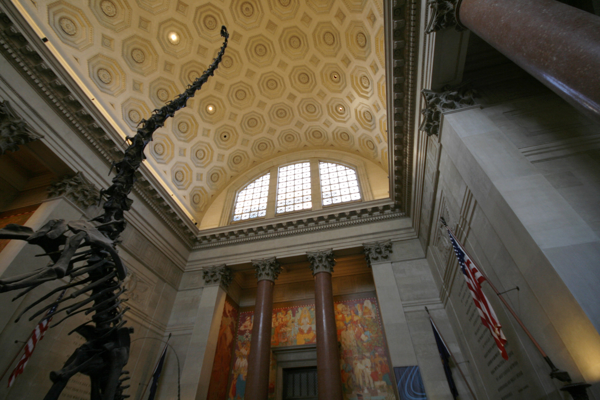 Canon EOS 400D (EOS Digital Rebel XTi / EOS Kiss Digital X) sample photo. American museum of natural history photography