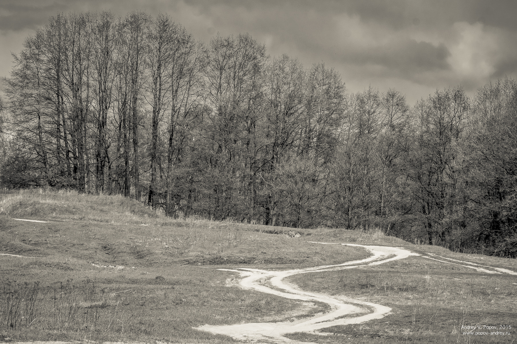 Pentax smc DA* 60-250mm F4.0 ED (IF) SDM sample photo. The road in the fields photography