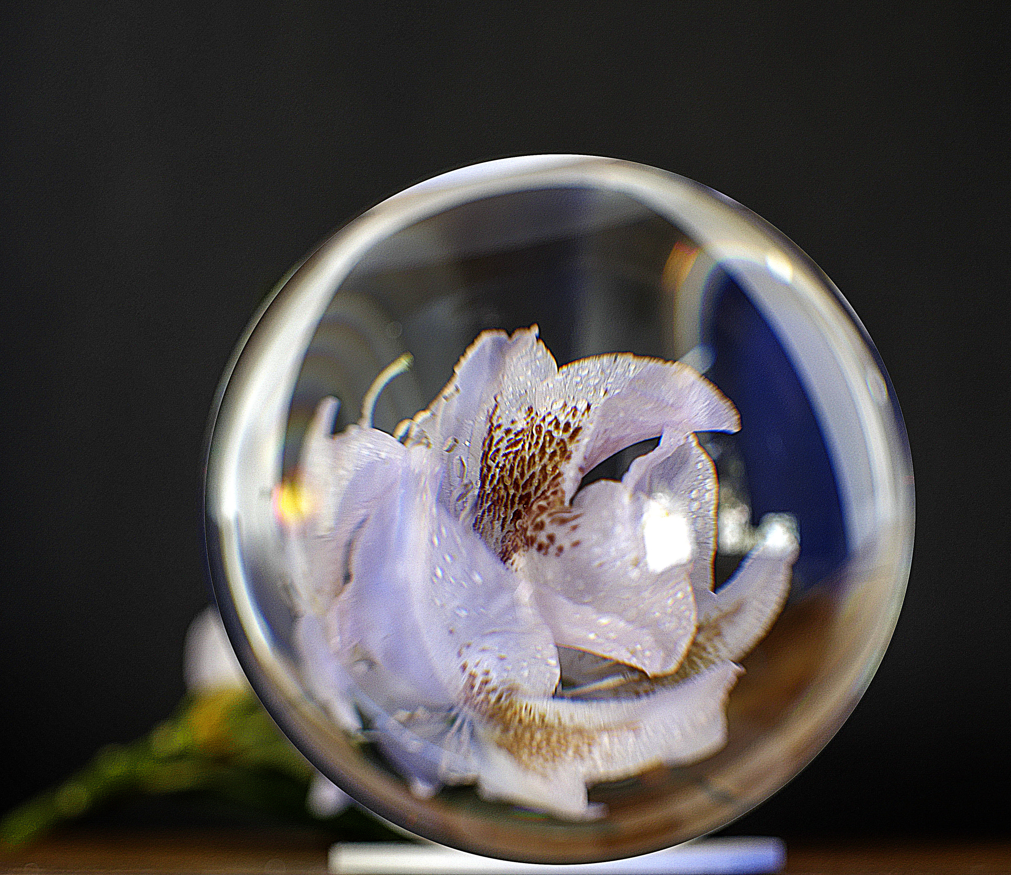 Panasonic Lumix DMC-GX8 sample photo. Glaskugel photography