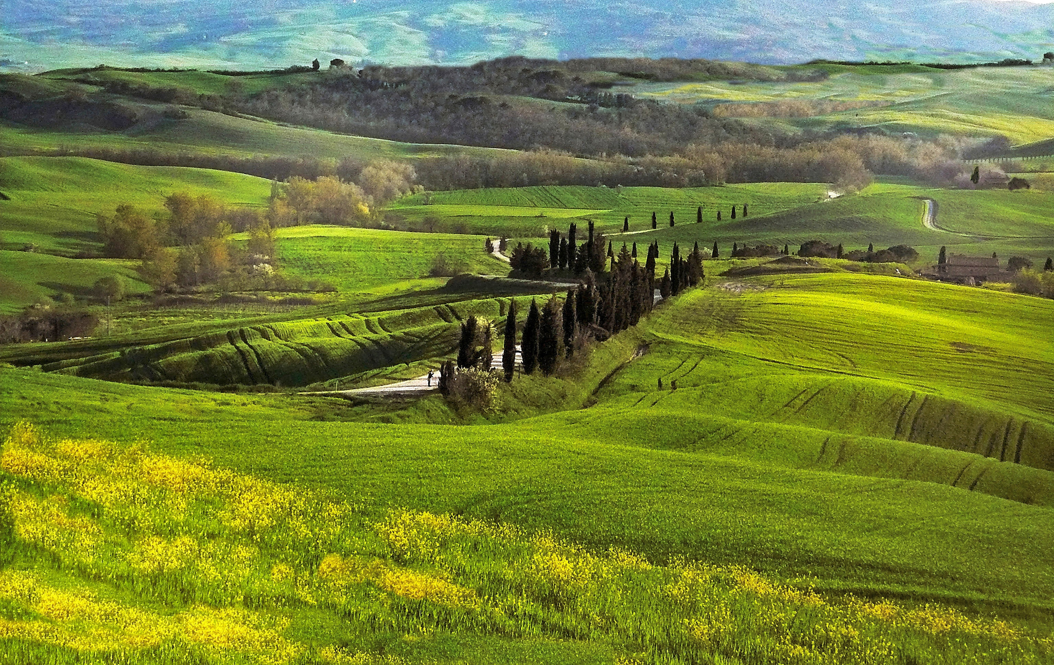 Panasonic DMC-FX07 sample photo. Colline fiorite in val d'orcia...... photography