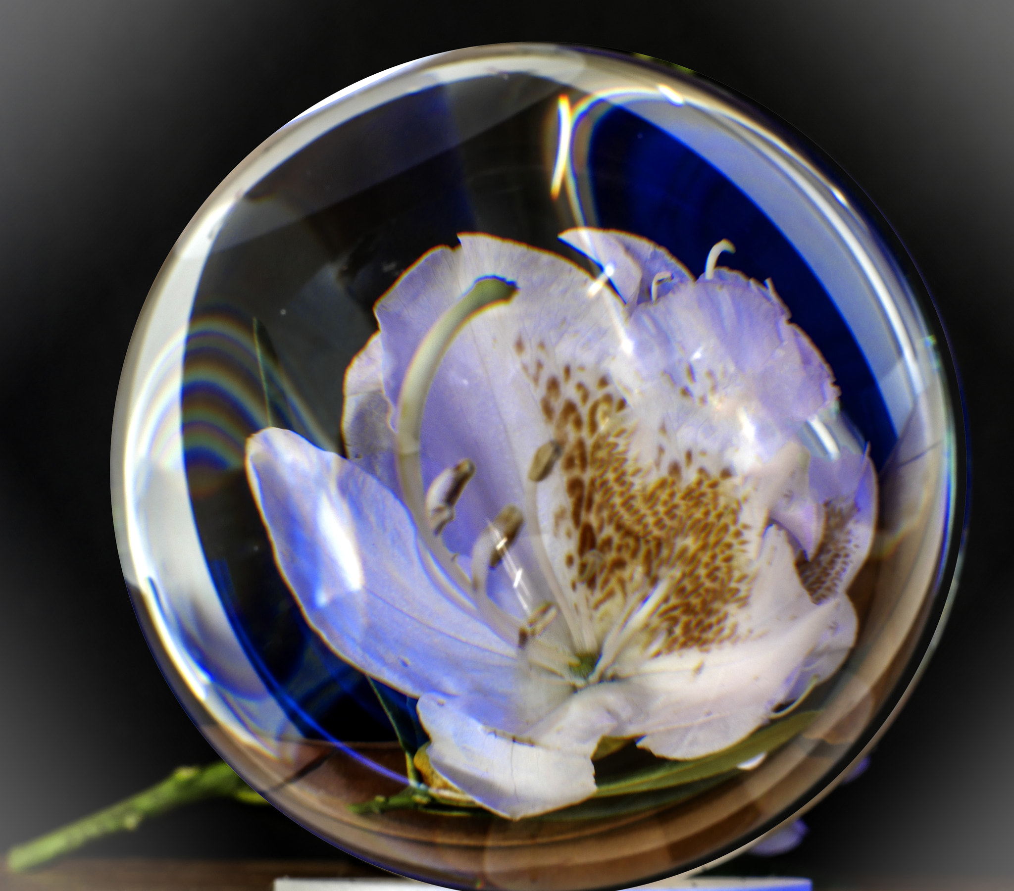 Panasonic Lumix DMC-GX8 sample photo. Kugel photography