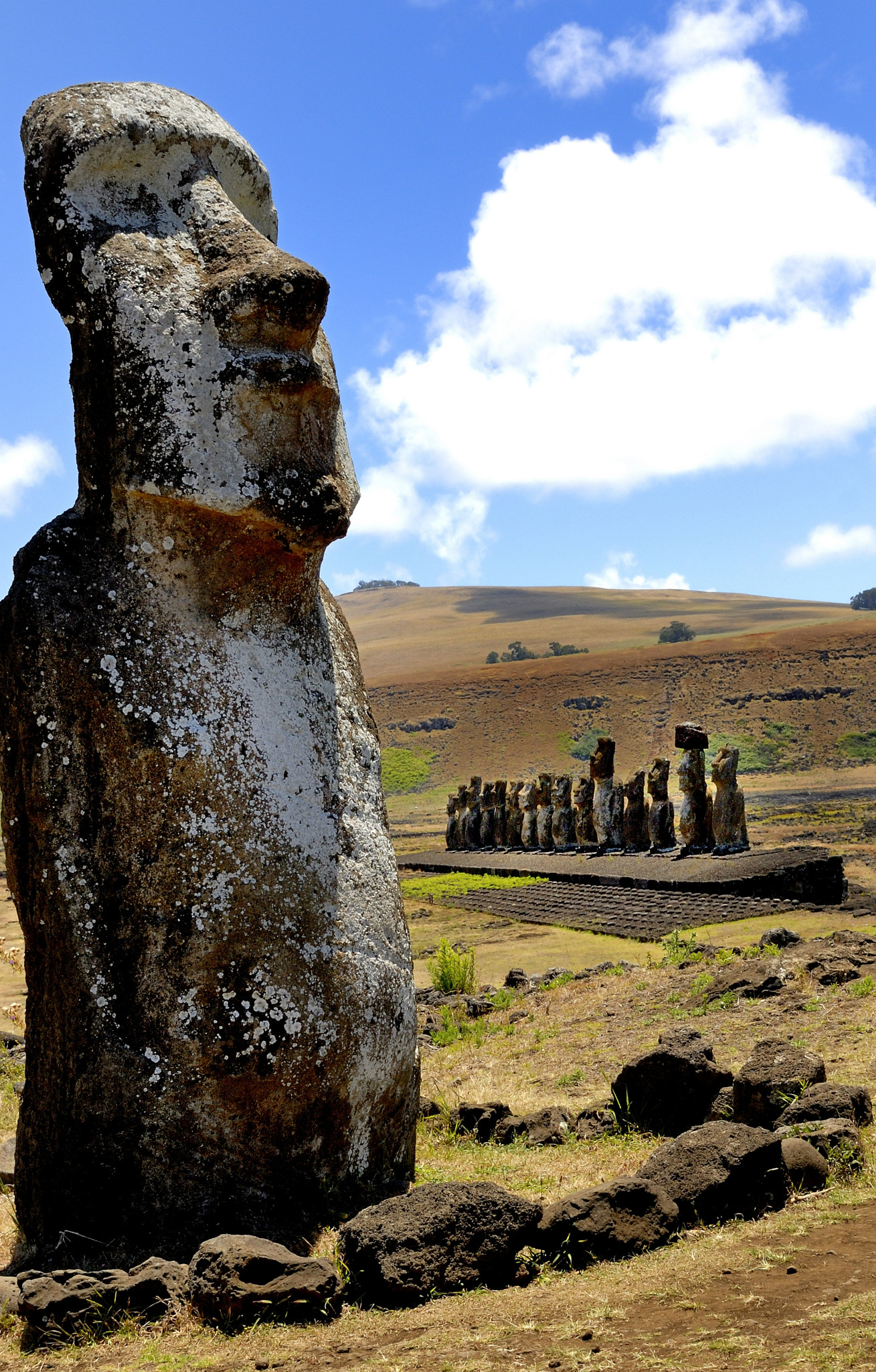 Nikon D200 sample photo. The traveling moai -ahu tongariki photography