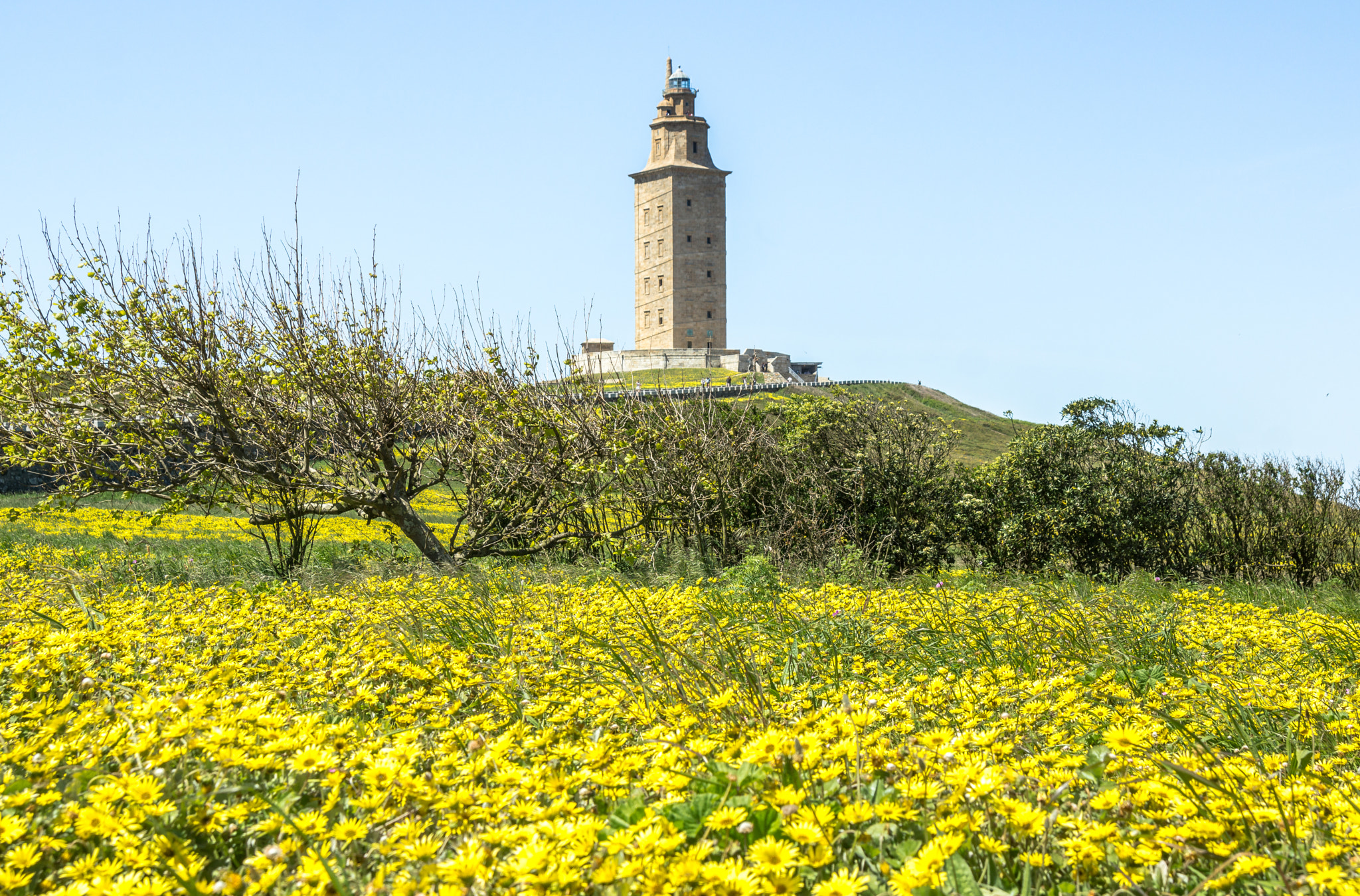 Sony SLT-A77 sample photo. Torre de hércules photography