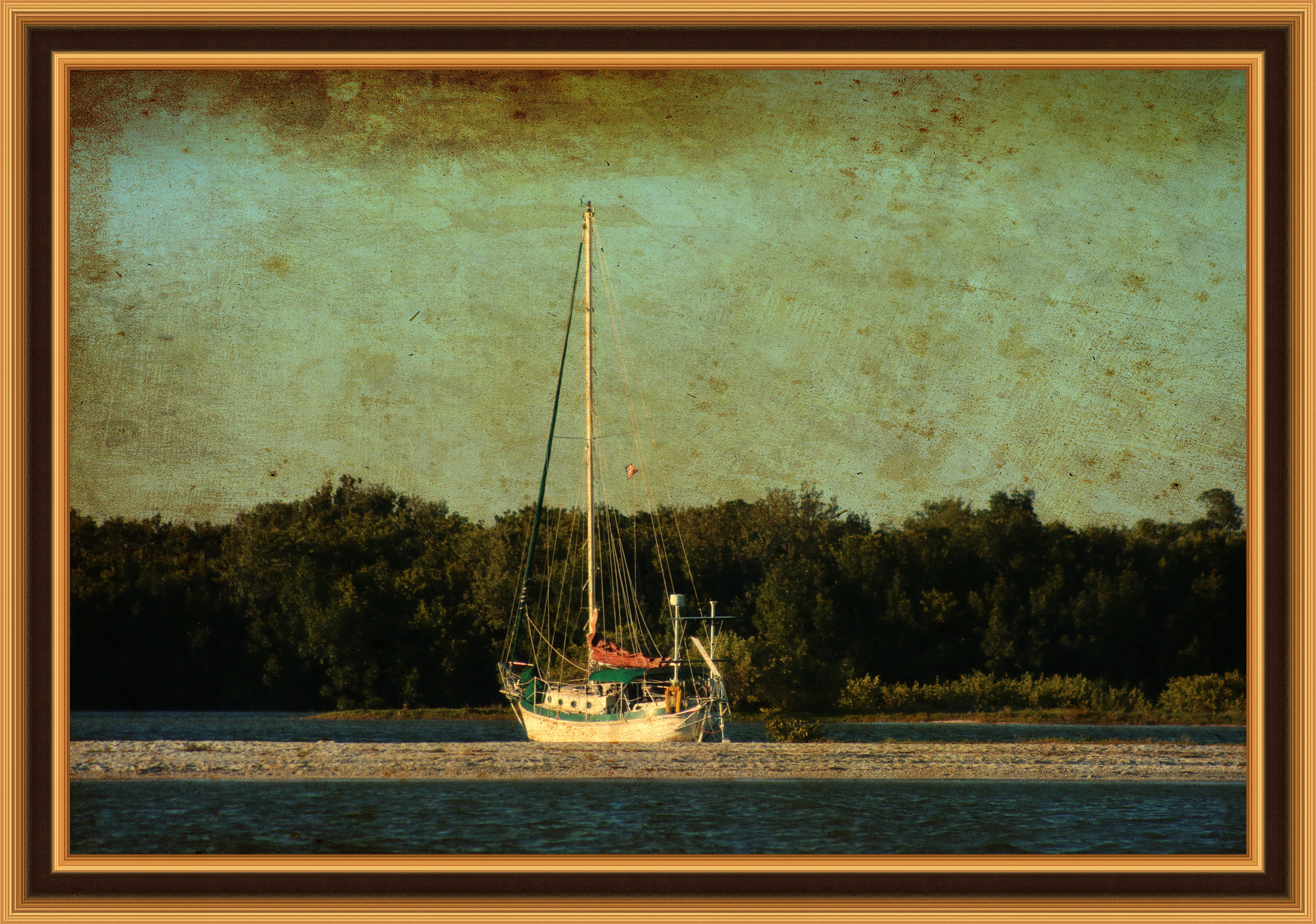 Canon EOS 750D (EOS Rebel T6i / EOS Kiss X8i) + EF75-300mm f/4-5.6 sample photo. #old time florida photography