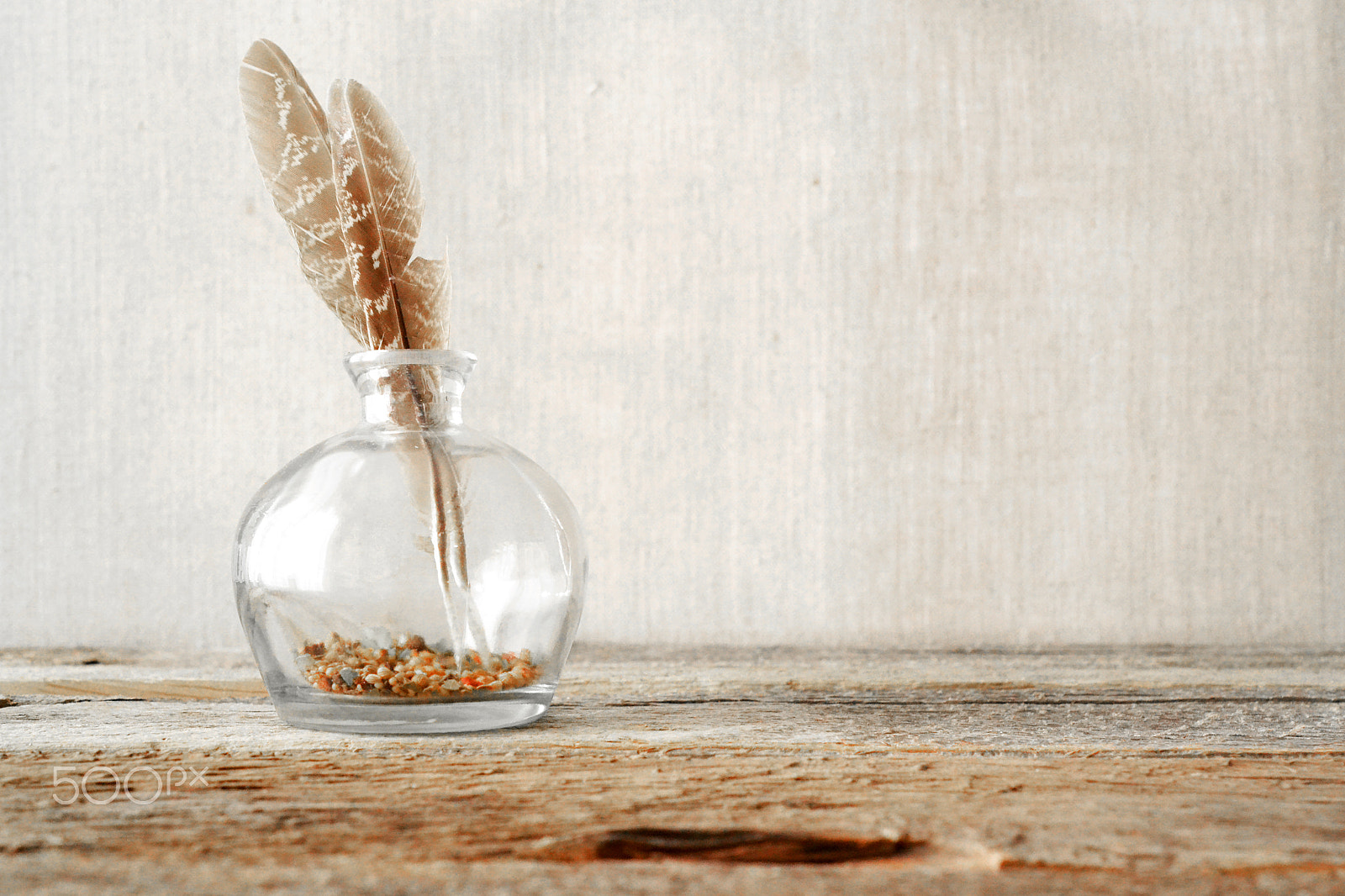 AF Zoom-Nikkor 35-80mm f/4-5.6D N sample photo. Feathers in natural light photography