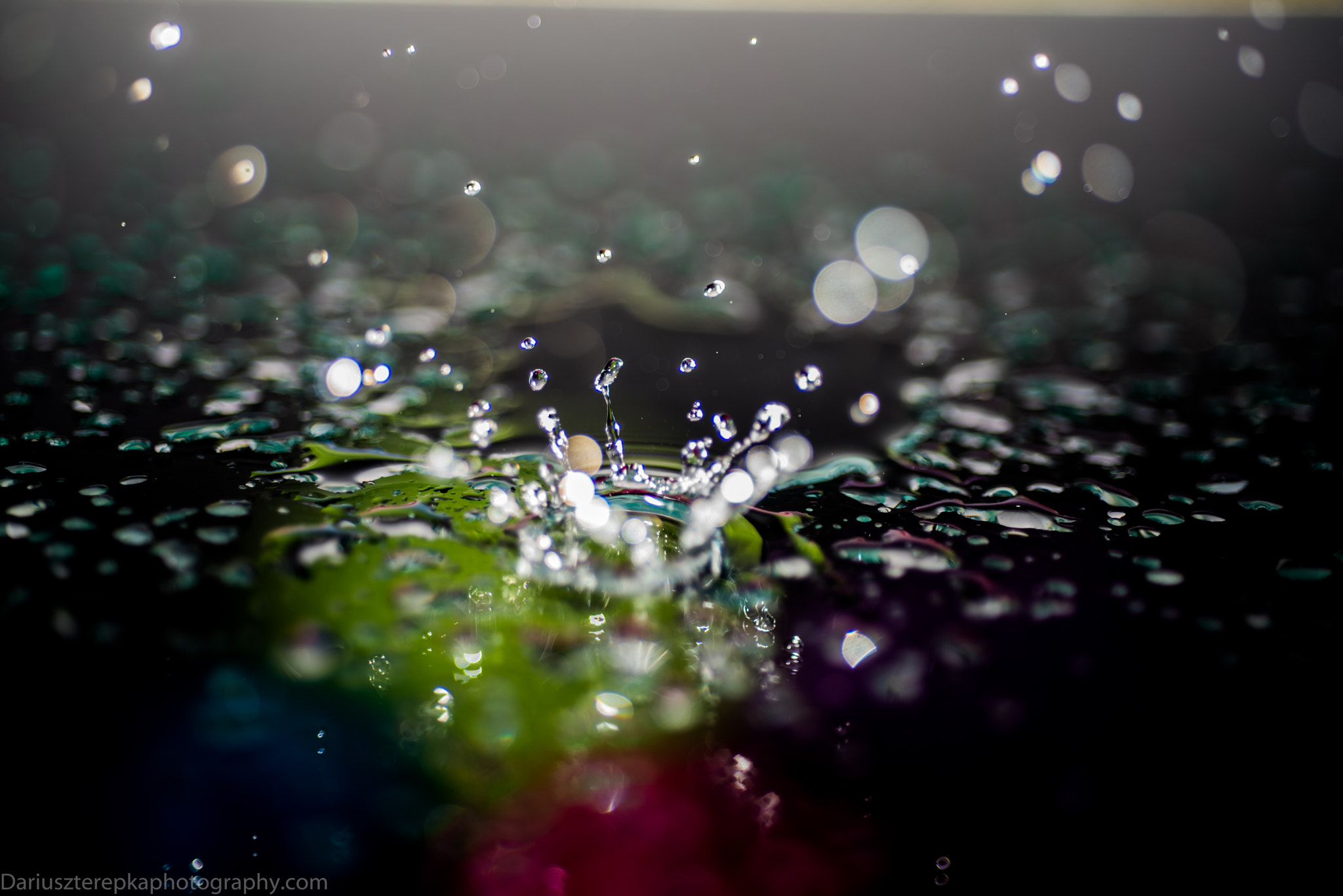 Nikon D750 + AF Micro-Nikkor 60mm f/2.8 sample photo. Water drops photography