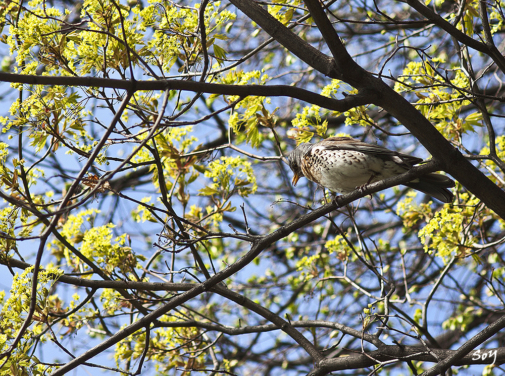 Sigma 85mm F1.4 EX DG HSM sample photo. !hola! ¿no me ves? estoy aquí... photography