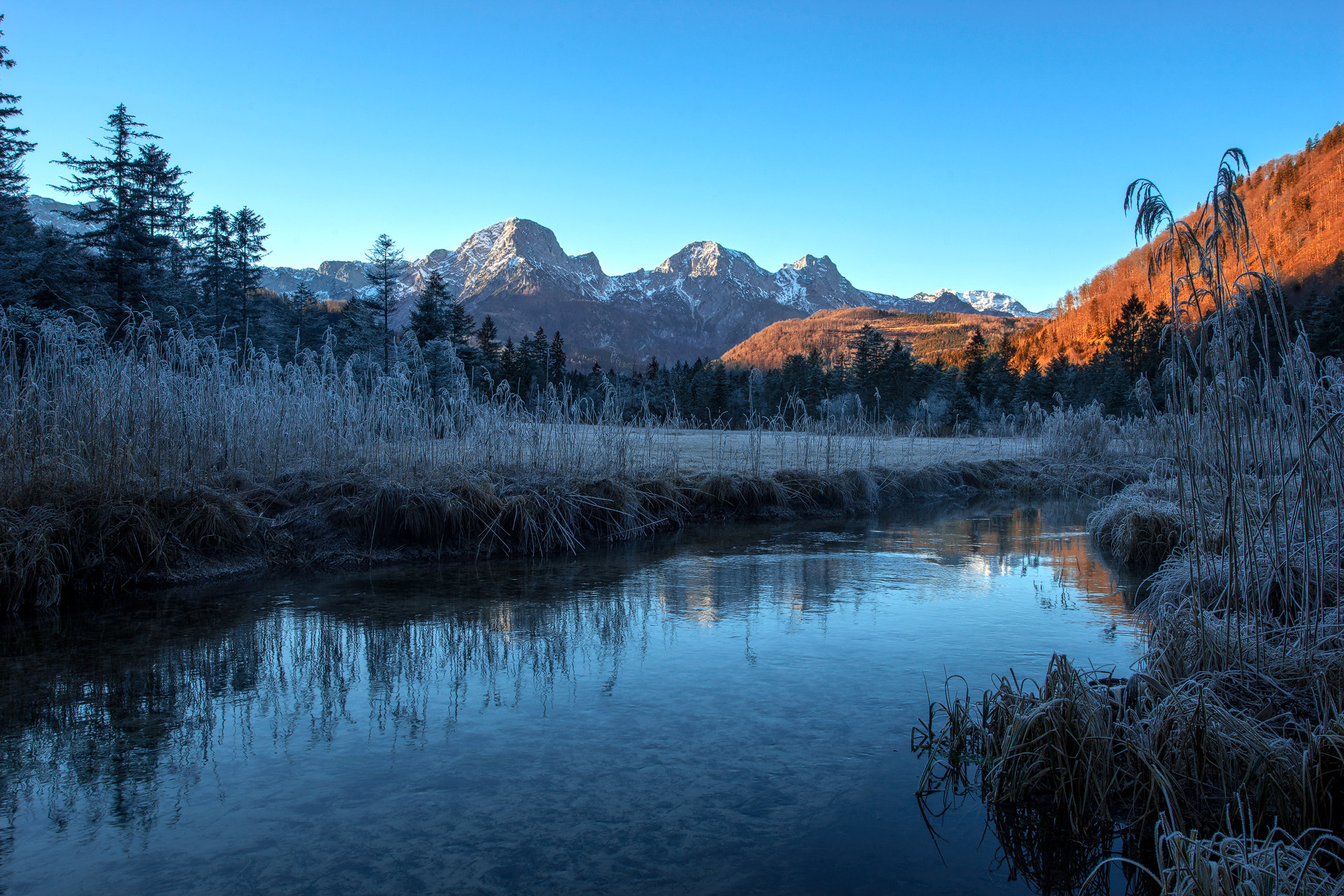 Sony a7R + Canon EF 17-40mm F4L USM sample photo. Freezing cold photography