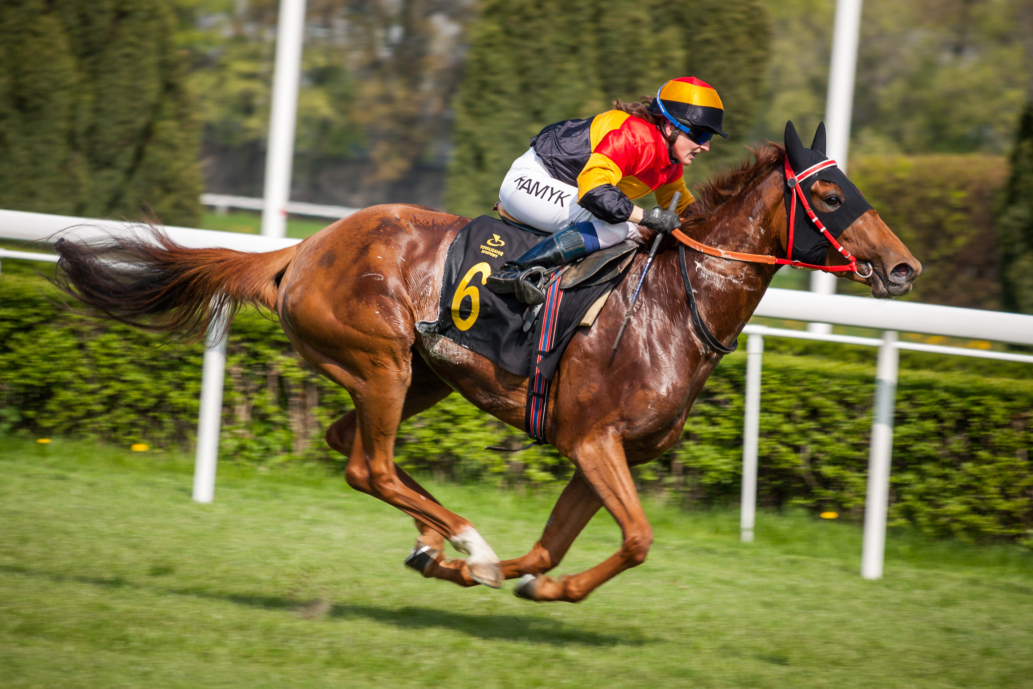 Canon EOS 50D + Canon EF-S 55-250mm F4-5.6 IS STM sample photo. Horse jockey. photography