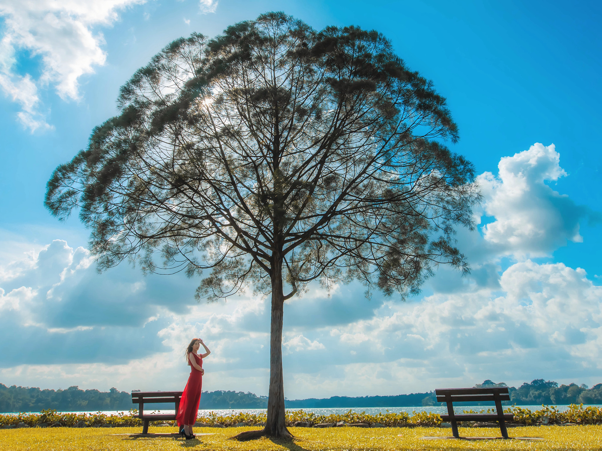 Canon EF 16-35mm F2.8L II USM sample photo. 一个人一棵树 photography