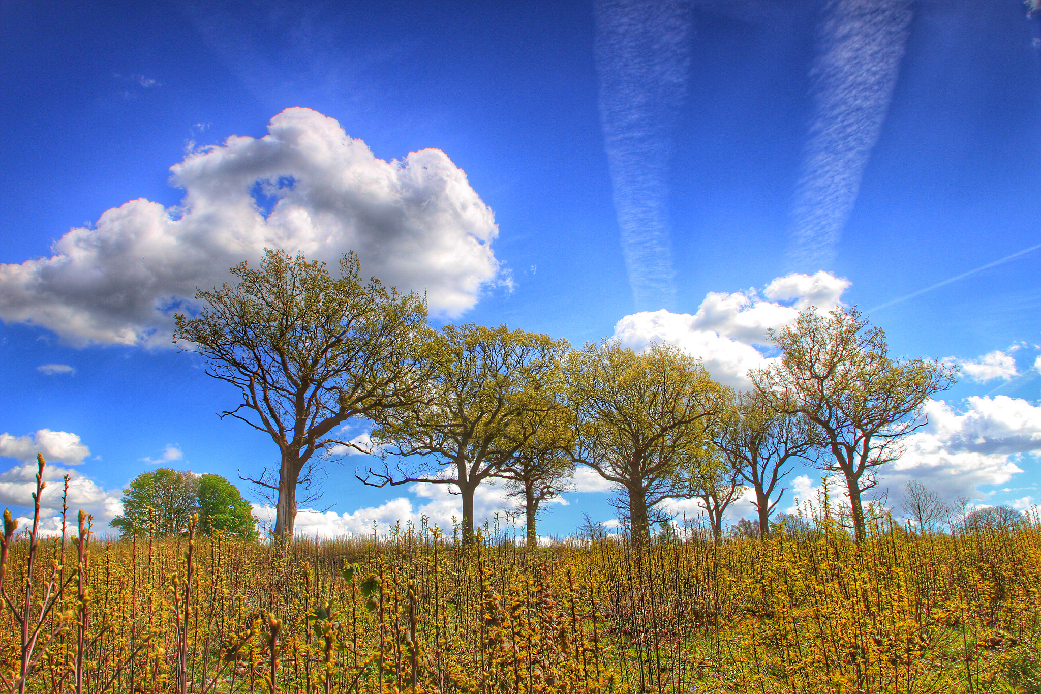 Canon 18-270mm sample photo. A view from today photography