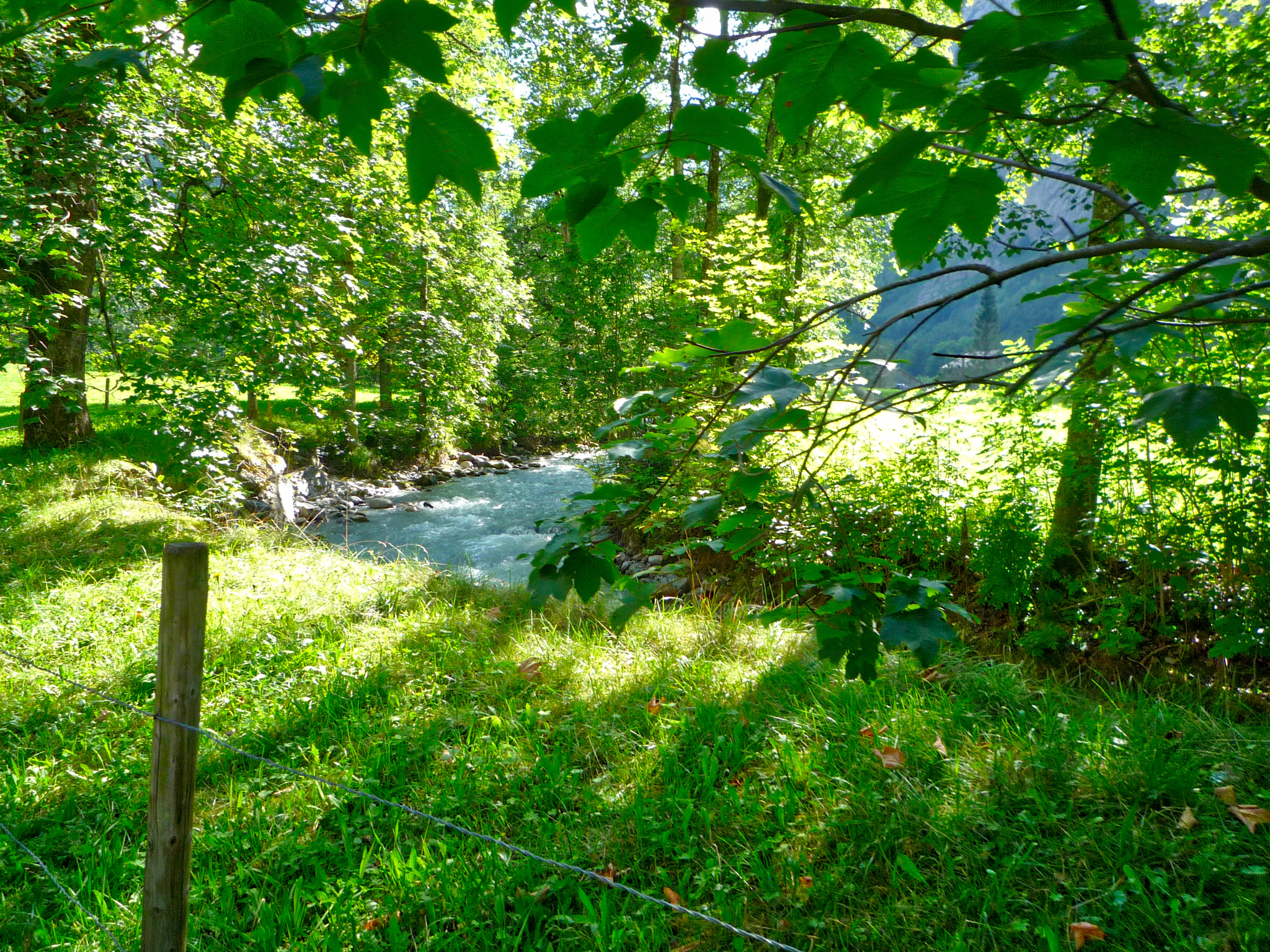 Panasonic DMC-FX35 sample photo. Creek 0503 photography
