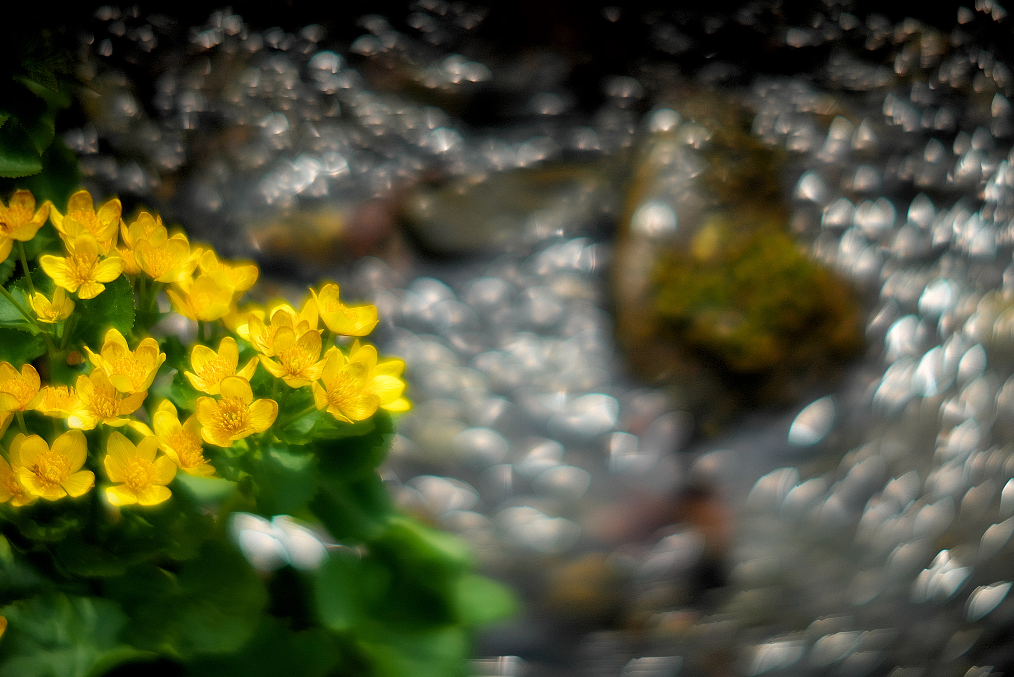 Sony a7S sample photo. Whisper,whisper little stream2 photography