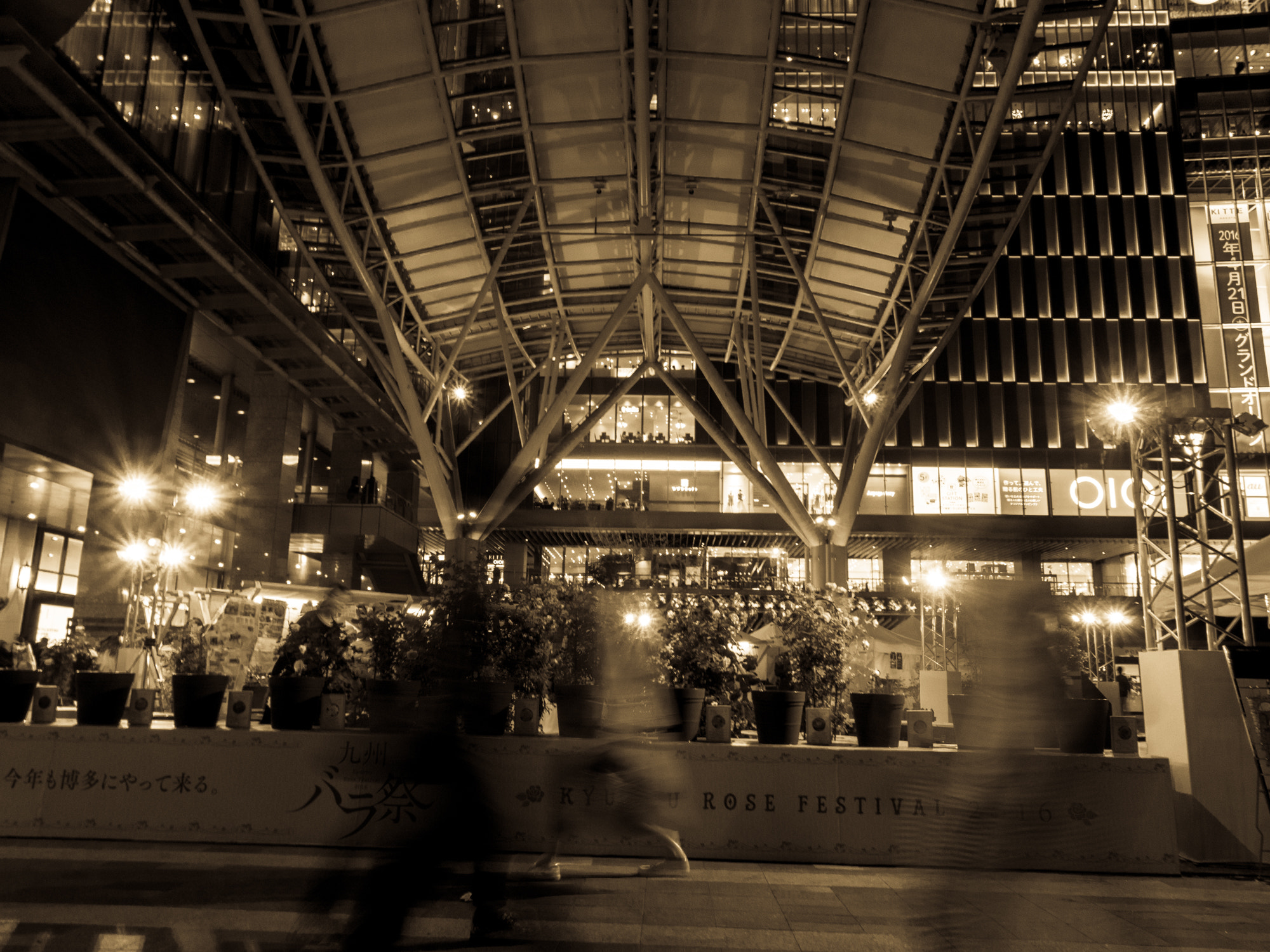 Olympus PEN E-PL5 sample photo. Rose festa photography