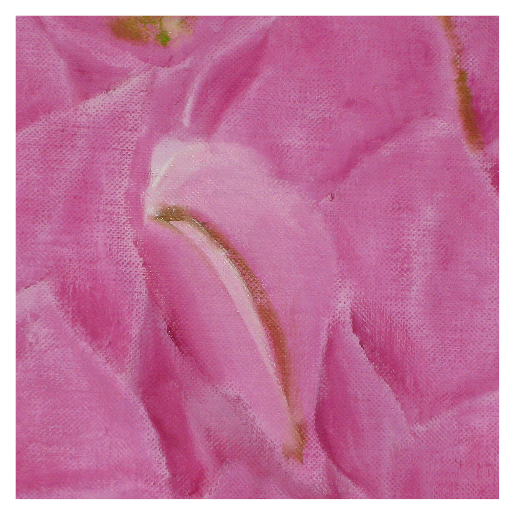 Canon DIGITAL IXUS 950 IS sample photo. Brote photography