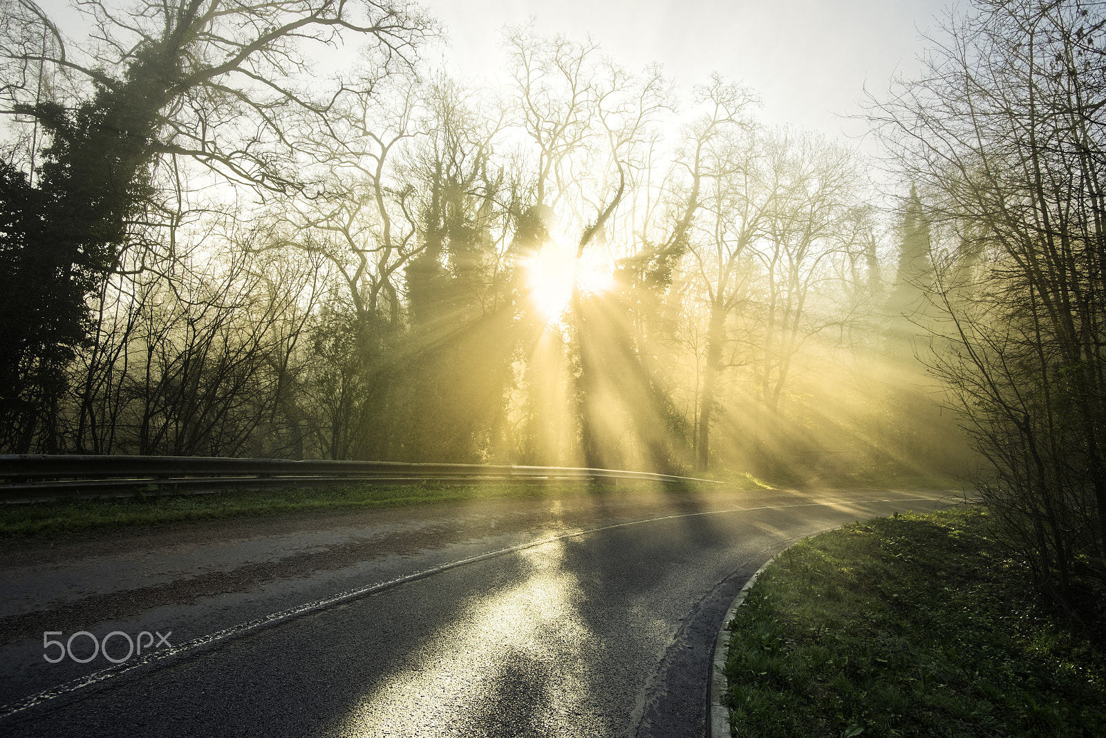 Nikon D600 sample photo. Mask the road photography