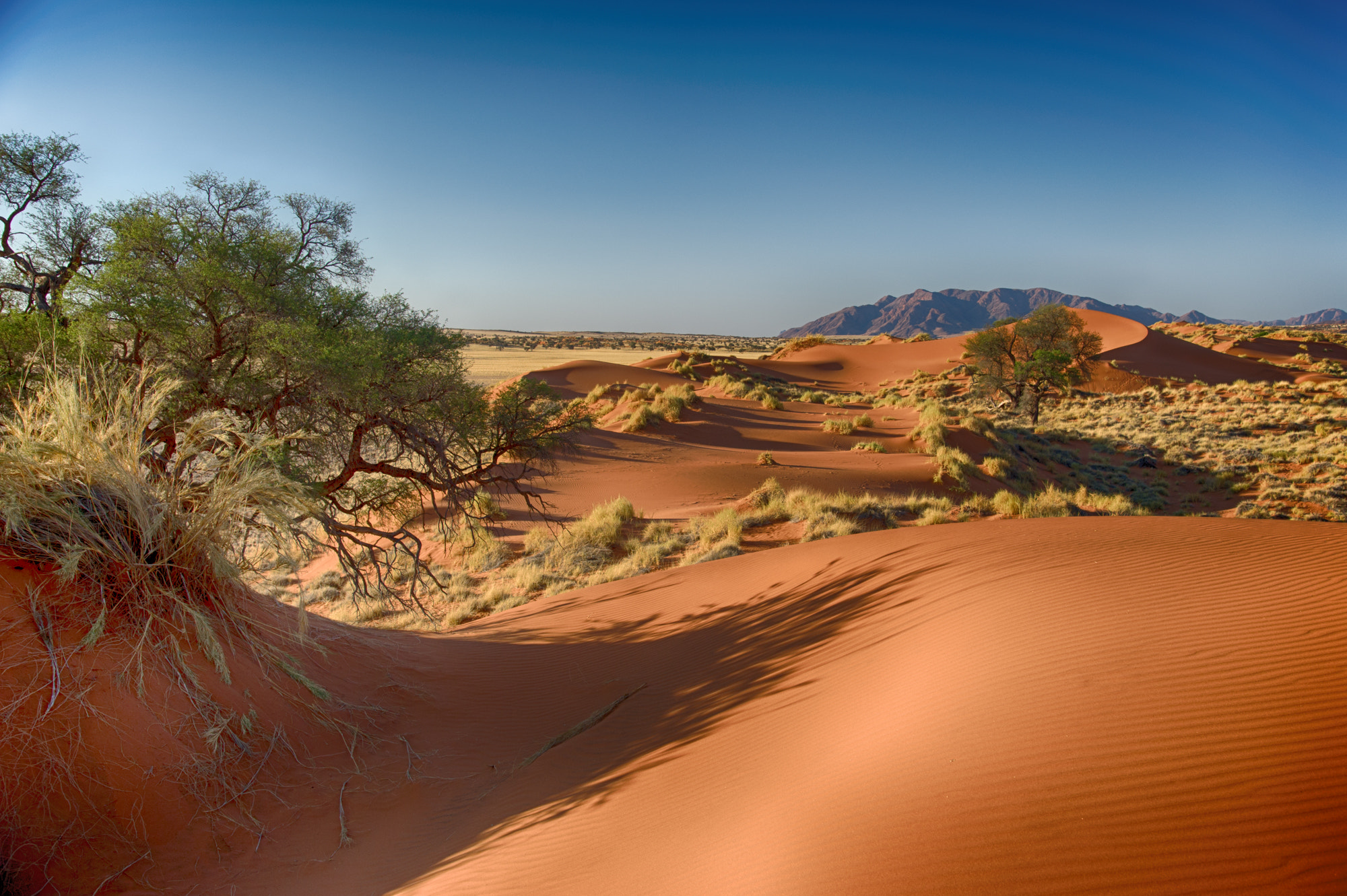 Nikon D3S sample photo. Sur les dunes photography