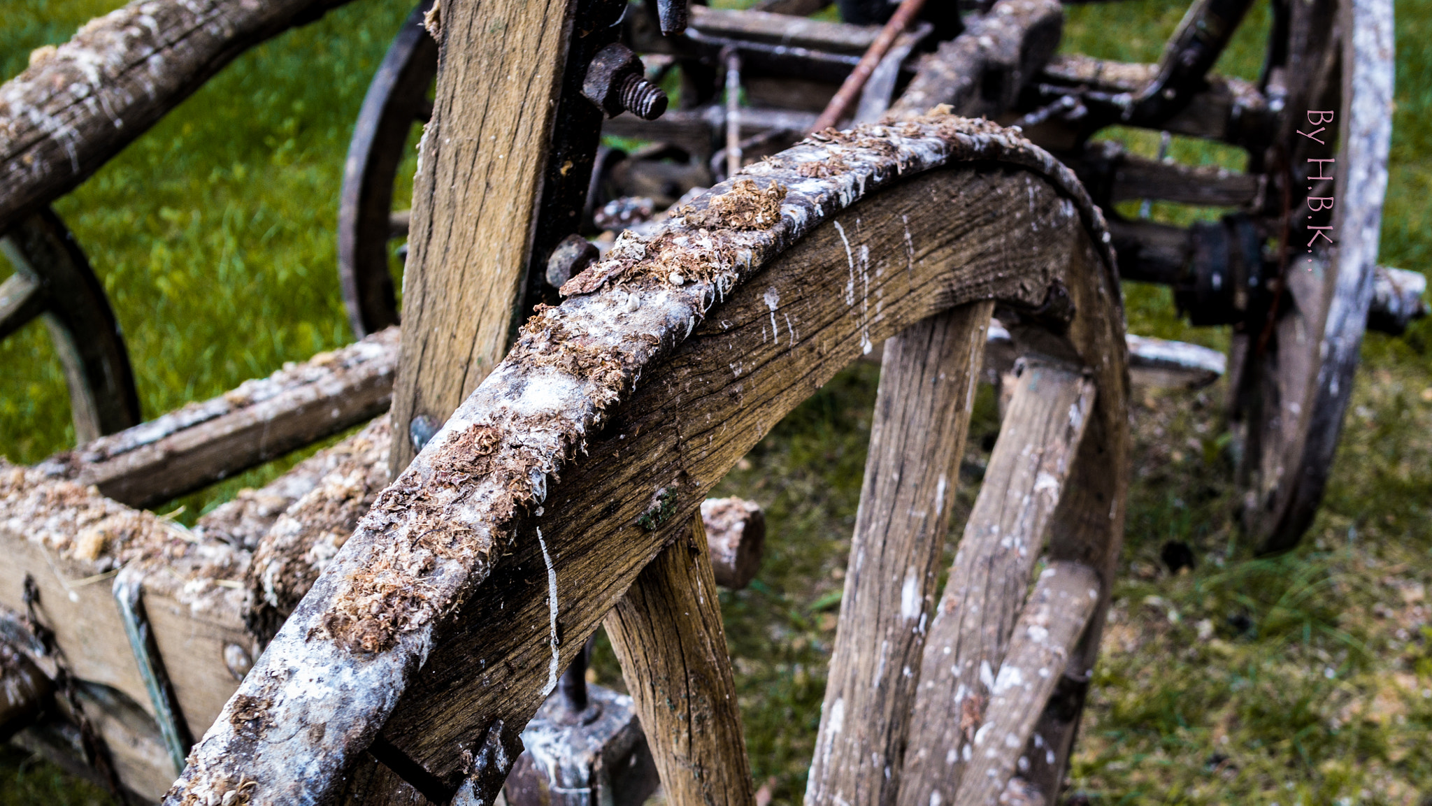 Samsung NX 16mm F2.4 Pancake sample photo. Sam_7806-2.jpg photography