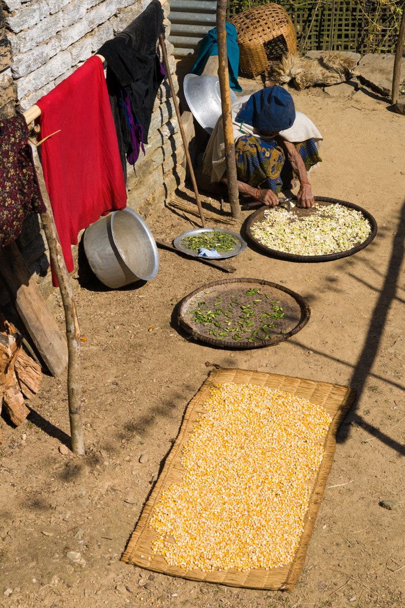 Sigma 17-70mm F2.8-4 DC Macro OS HSM sample photo. Nepal kitchen photography