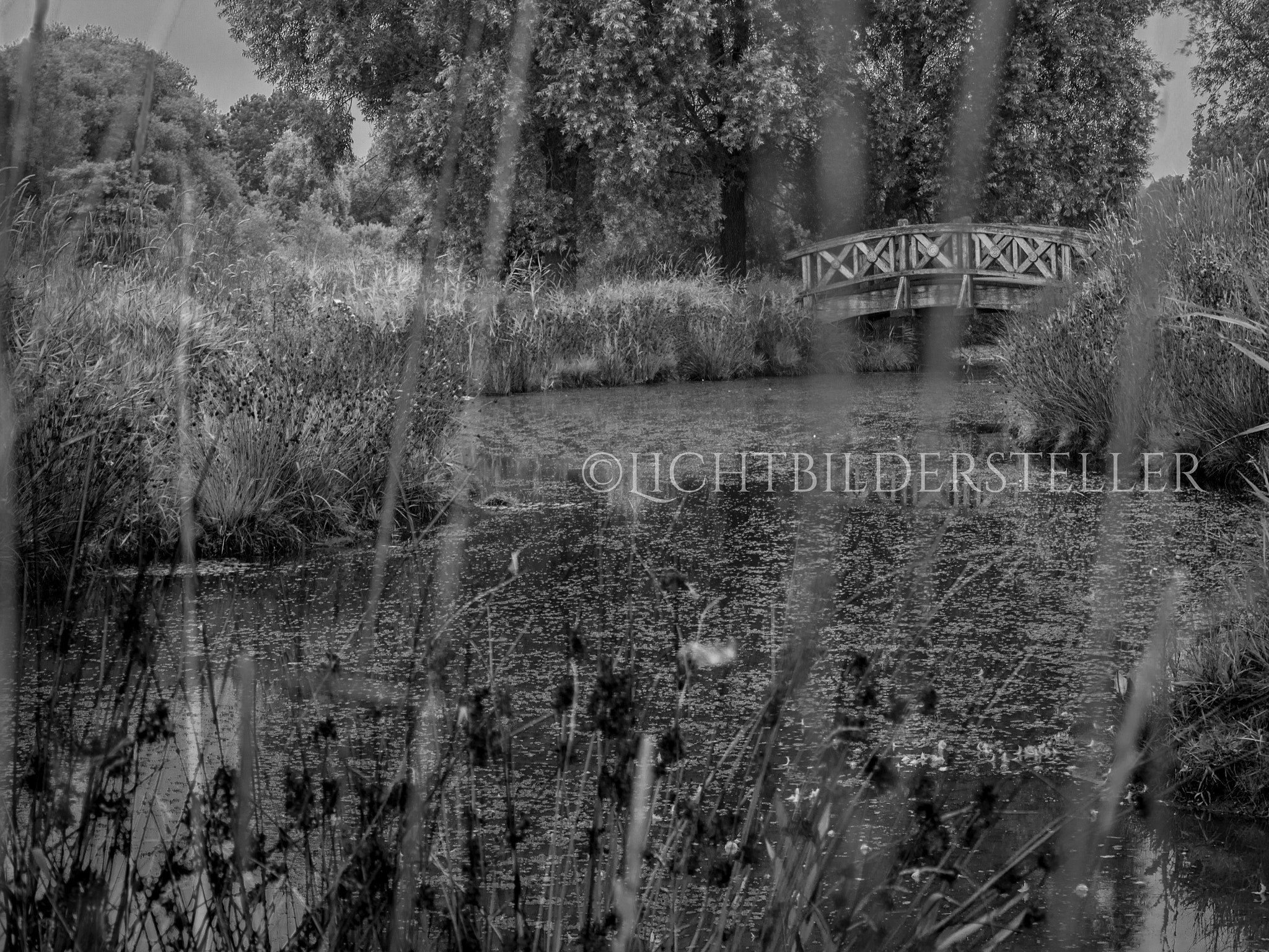 Canon EOS 650D (EOS Rebel T4i / EOS Kiss X6i) sample photo. Pond photography