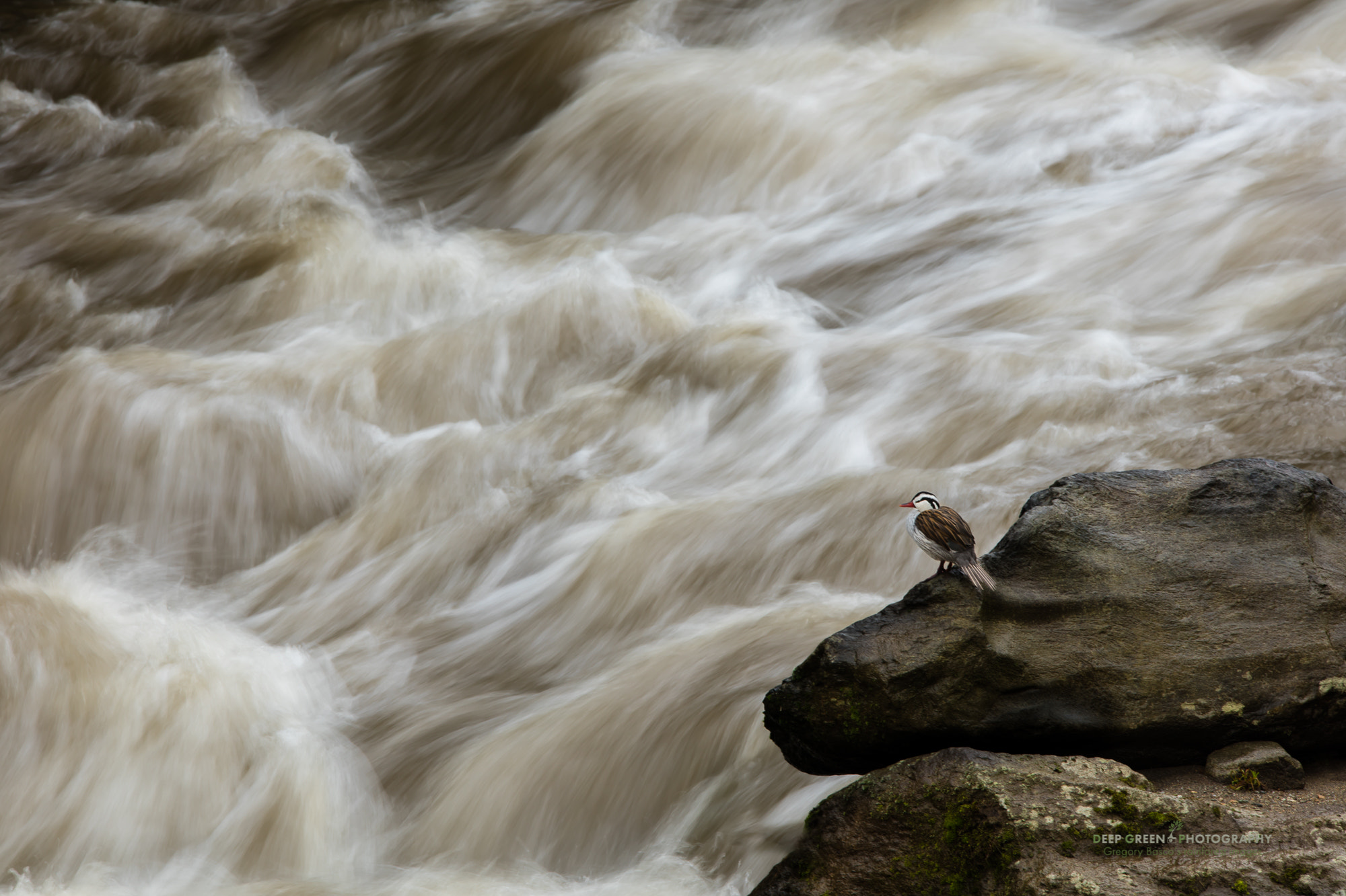 Sigma 150-600mm F5-6.3 DG OS HSM | C sample photo. Adaptation photography