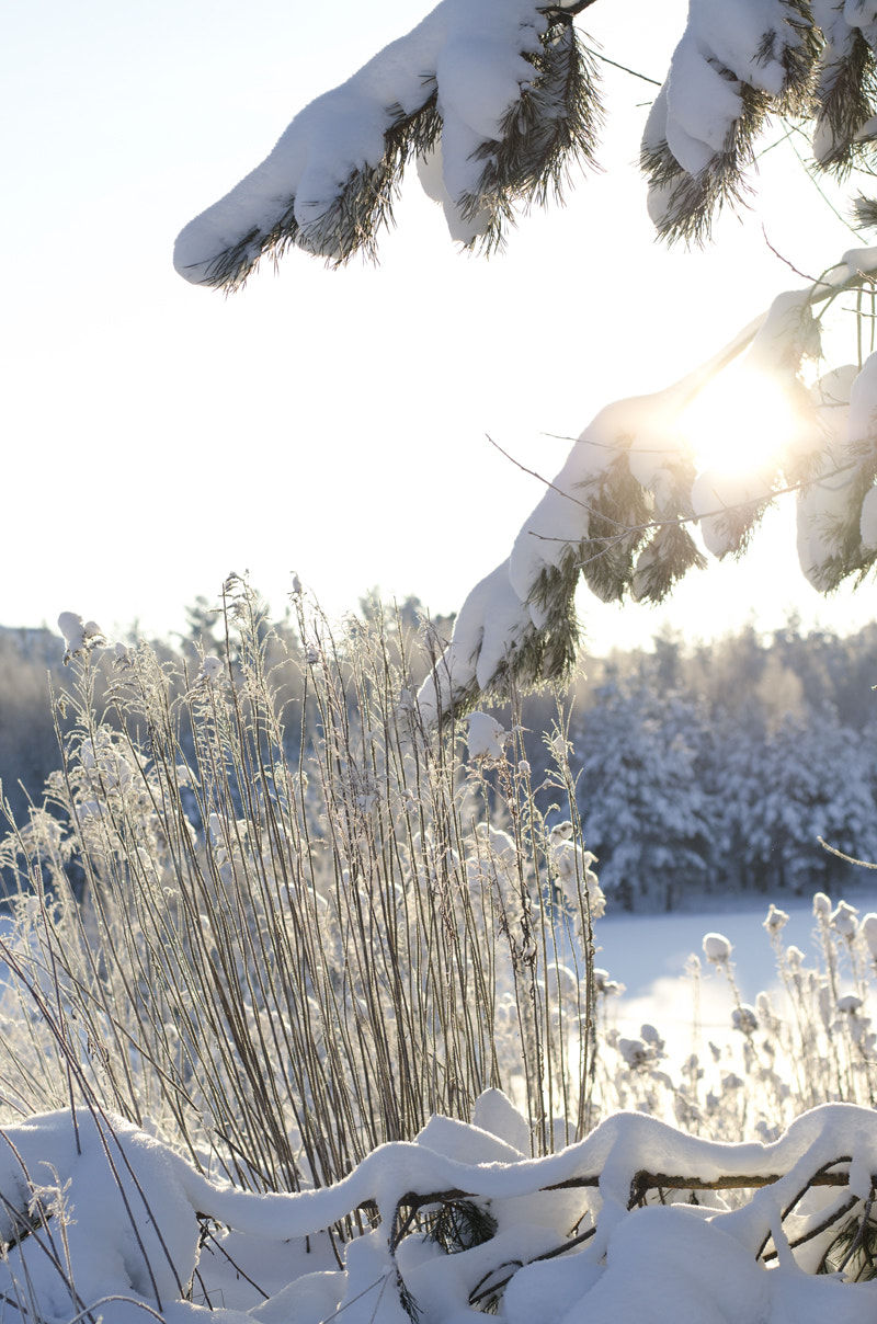 Nikon D5100 + AF Nikkor 70-210mm f/4-5.6D sample photo. Sunny winter day photography