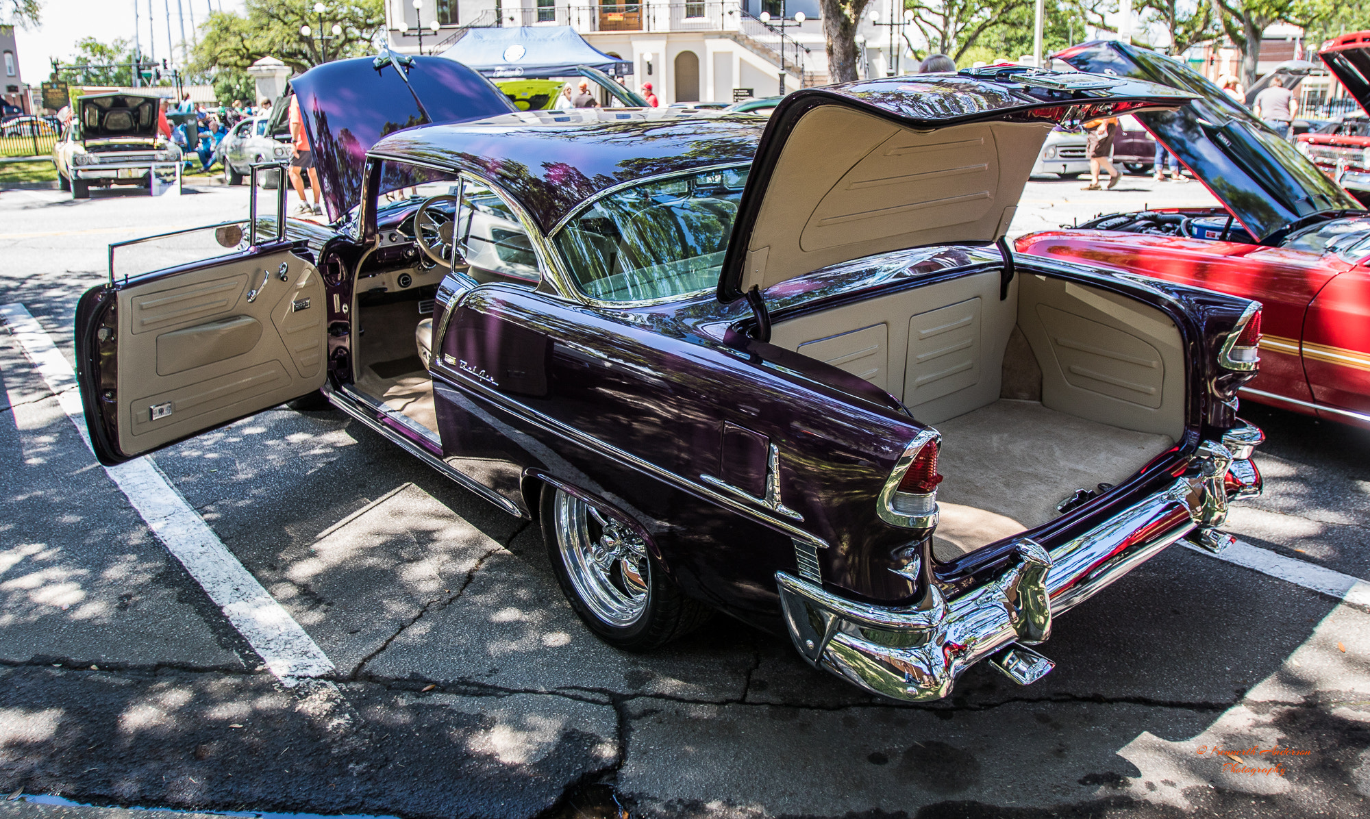 Canon EF 16-35mm F2.8L USM sample photo. Thomasville rose car show photography