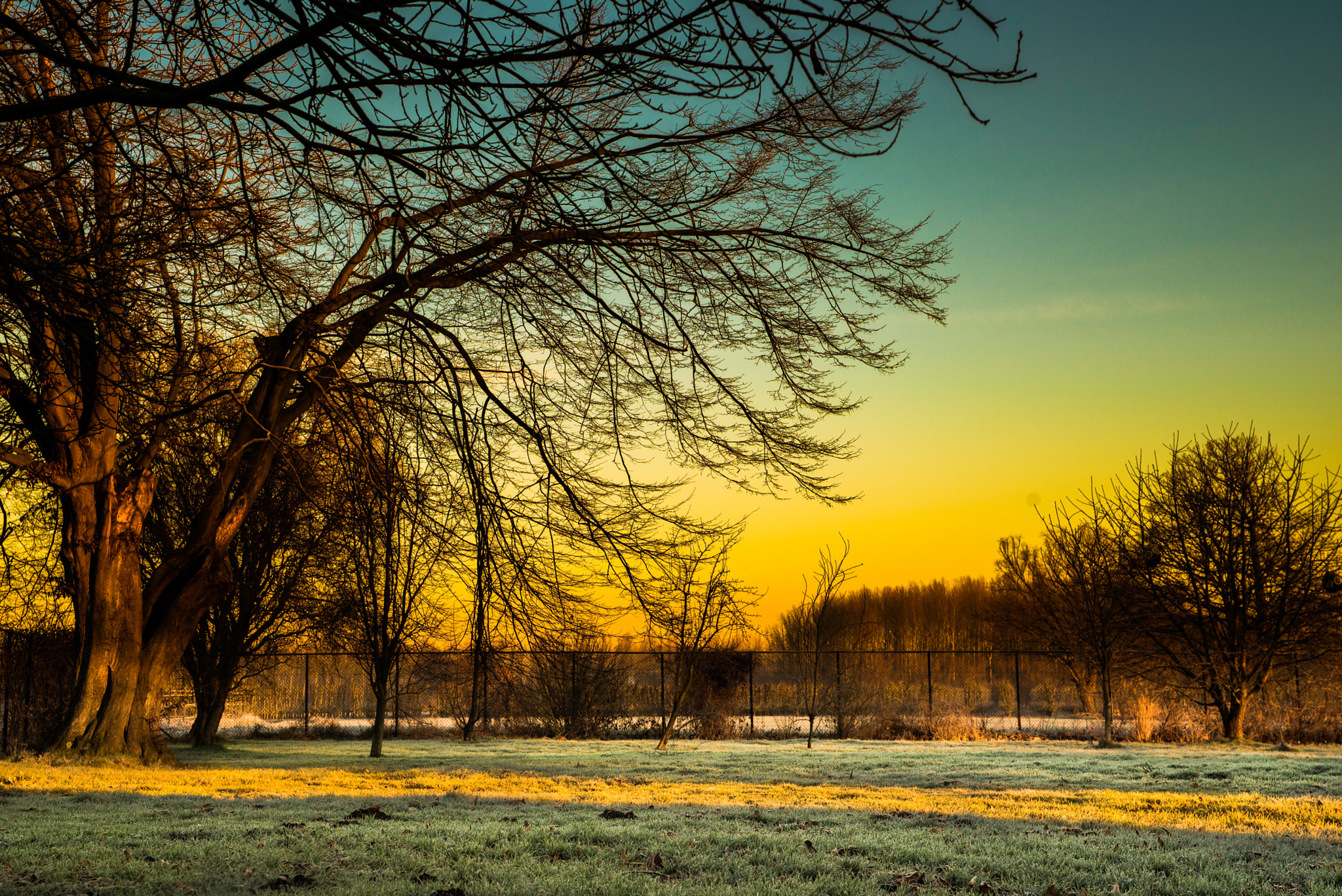Nikon D600 + Sigma 24-70mm F2.8 EX DG Macro sample photo. Nature lights photography