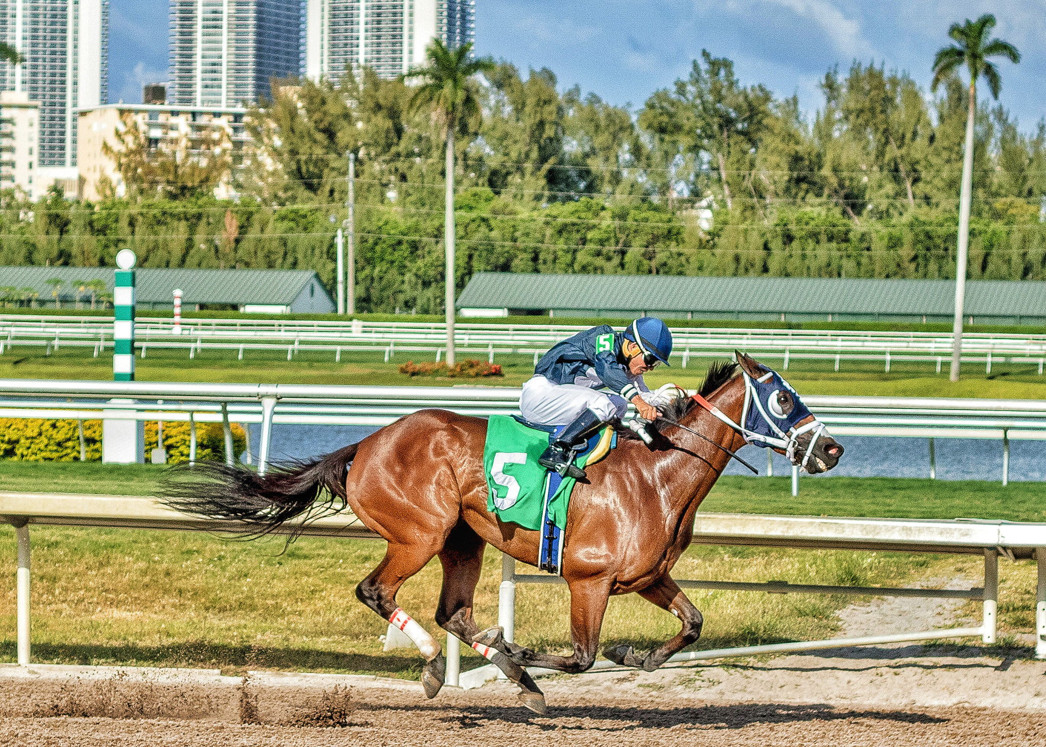 Canon EOS 760D (EOS Rebel T6s / EOS 8000D) + Canon EF 50mm F1.8 II sample photo. Winner photography
