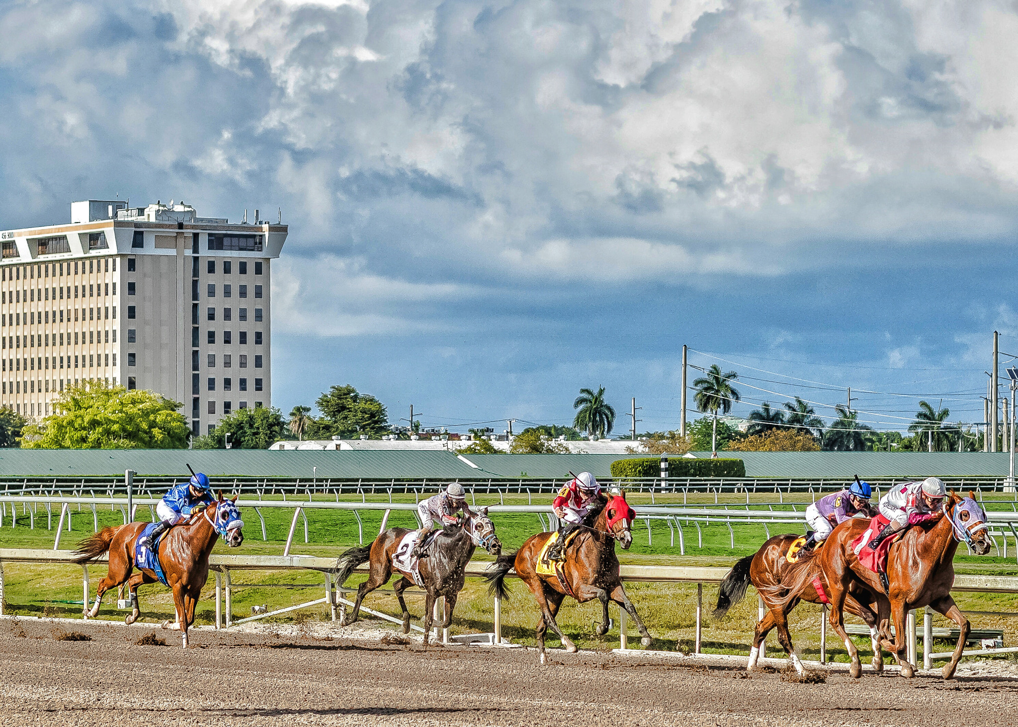 Canon EOS 760D (EOS Rebel T6s / EOS 8000D) + Canon EF 50mm F1.8 II sample photo. Horse racing photography