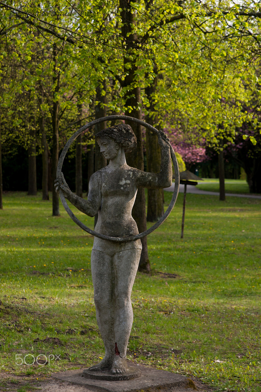 Sony Alpha DSLR-A700 + 24-70mm F2.8 sample photo. Ring photography