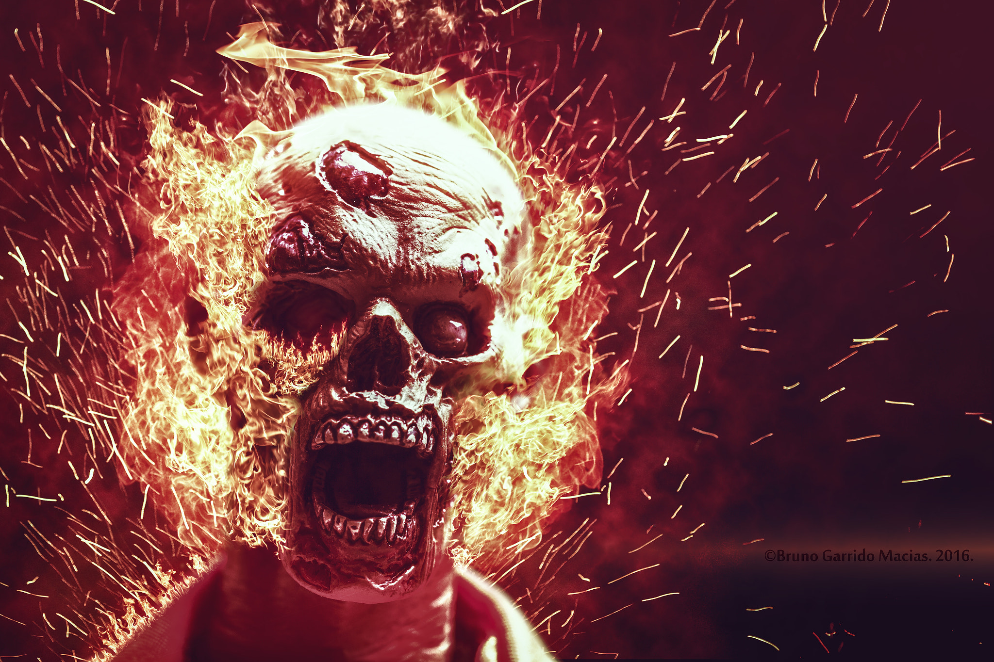 Sigma 150mm f/2.8 EX DG OS HSM APO Macro sample photo. Flames photography