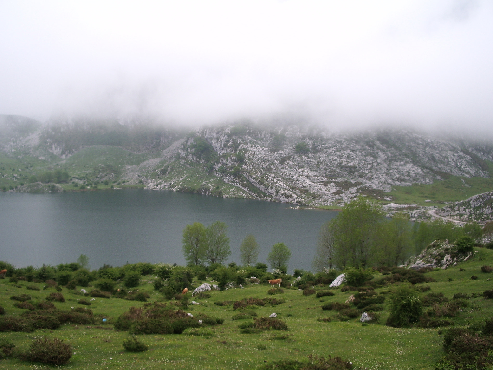 Pentax OPTIO S50 sample photo. Picos de europa-cantabria. photography