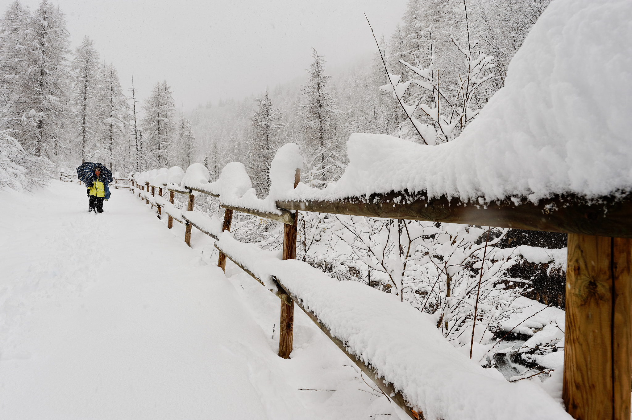 Nikon D700 + Nikon AF-S Nikkor 24mm F1.8G ED sample photo. Winter strikes back photography