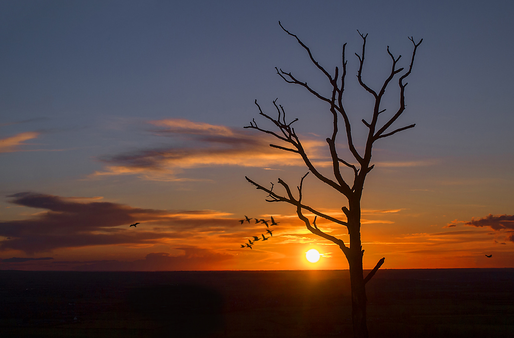 Panasonic Lumix DMC-GF6 + Sigma 30mm F2.8 DN Art sample photo. Silhouette sunset photography