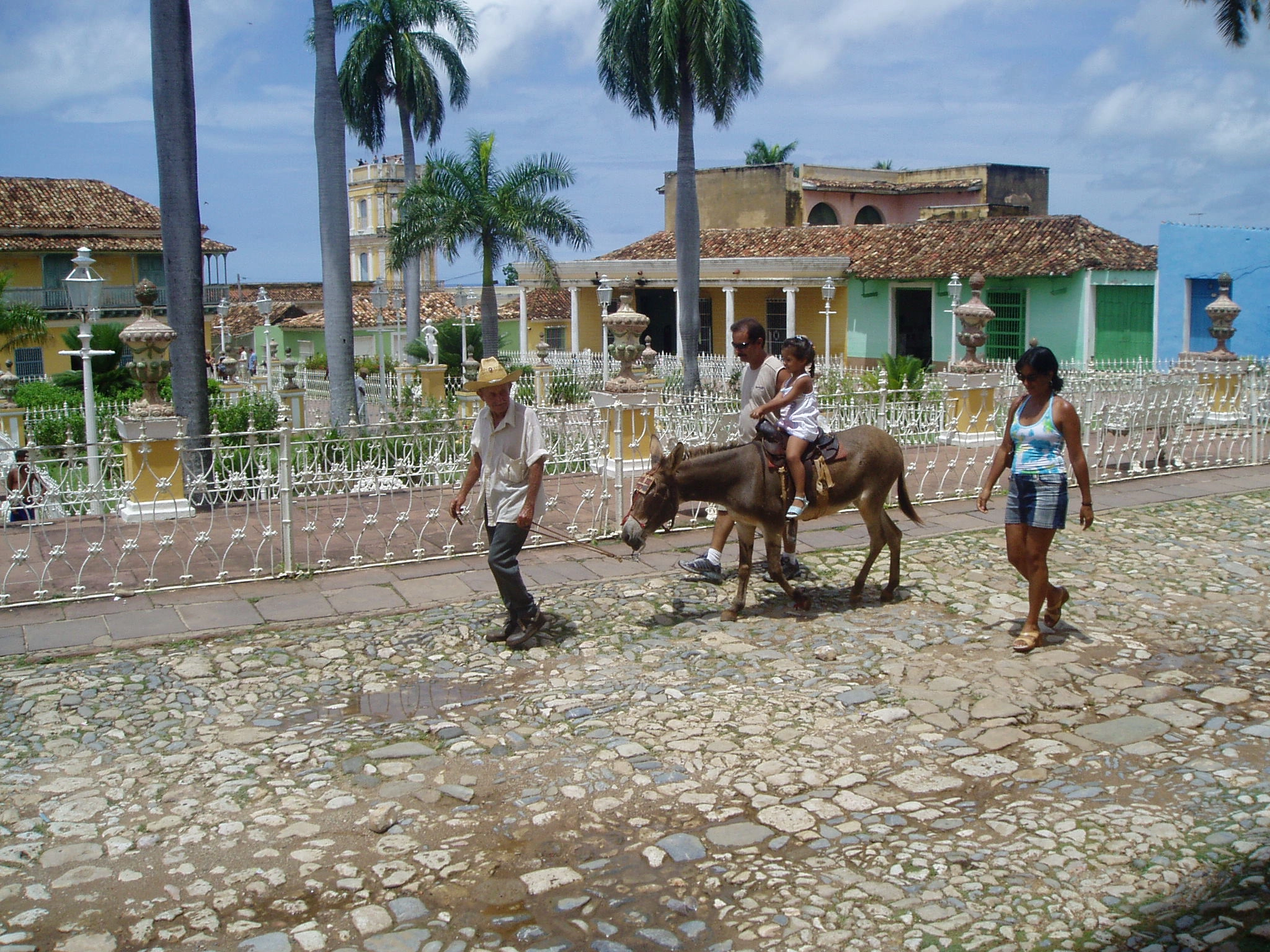 Olympus u10D,S300D,u300D sample photo. Donkey in trinidad photography