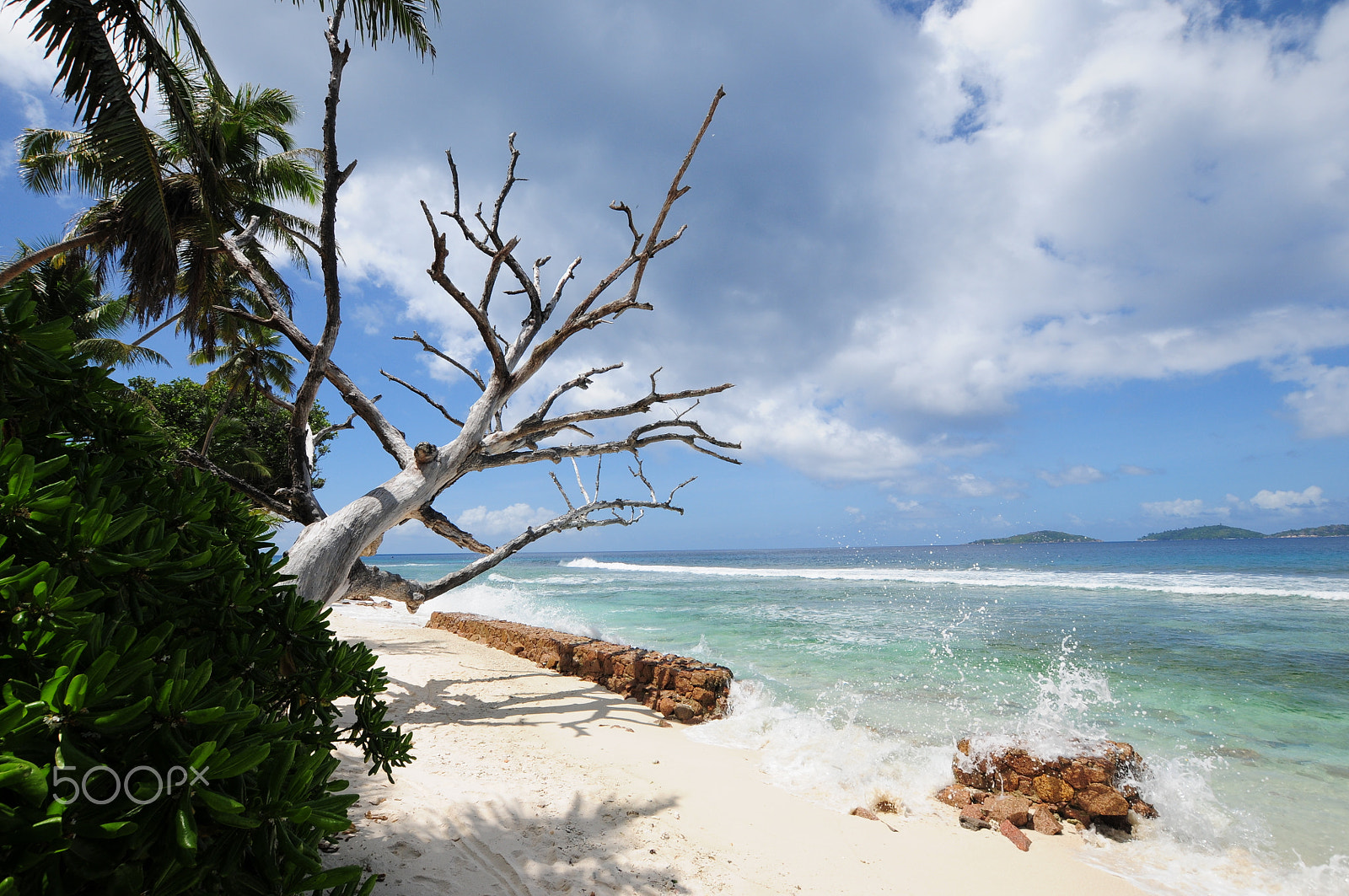 Nikon D300 + Sigma 10-20mm F3.5 EX DC HSM sample photo. Ldm seychelles photography