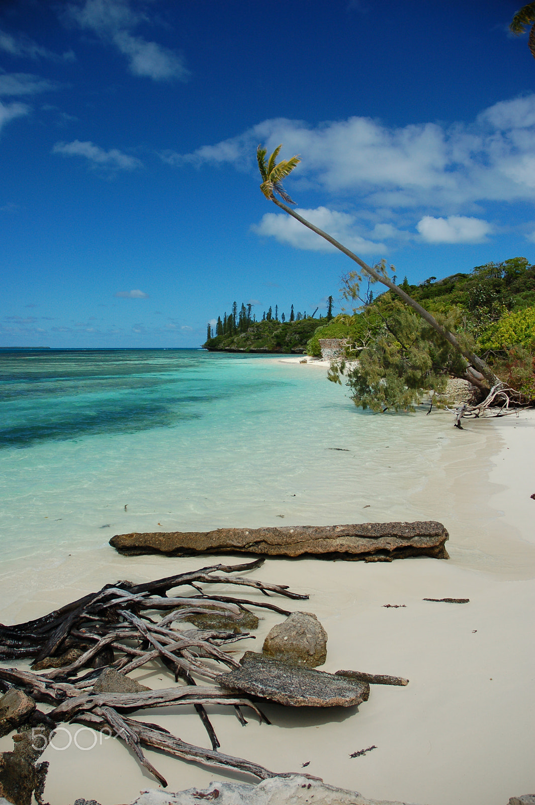 Nikon D50 sample photo. Ile des pins photography