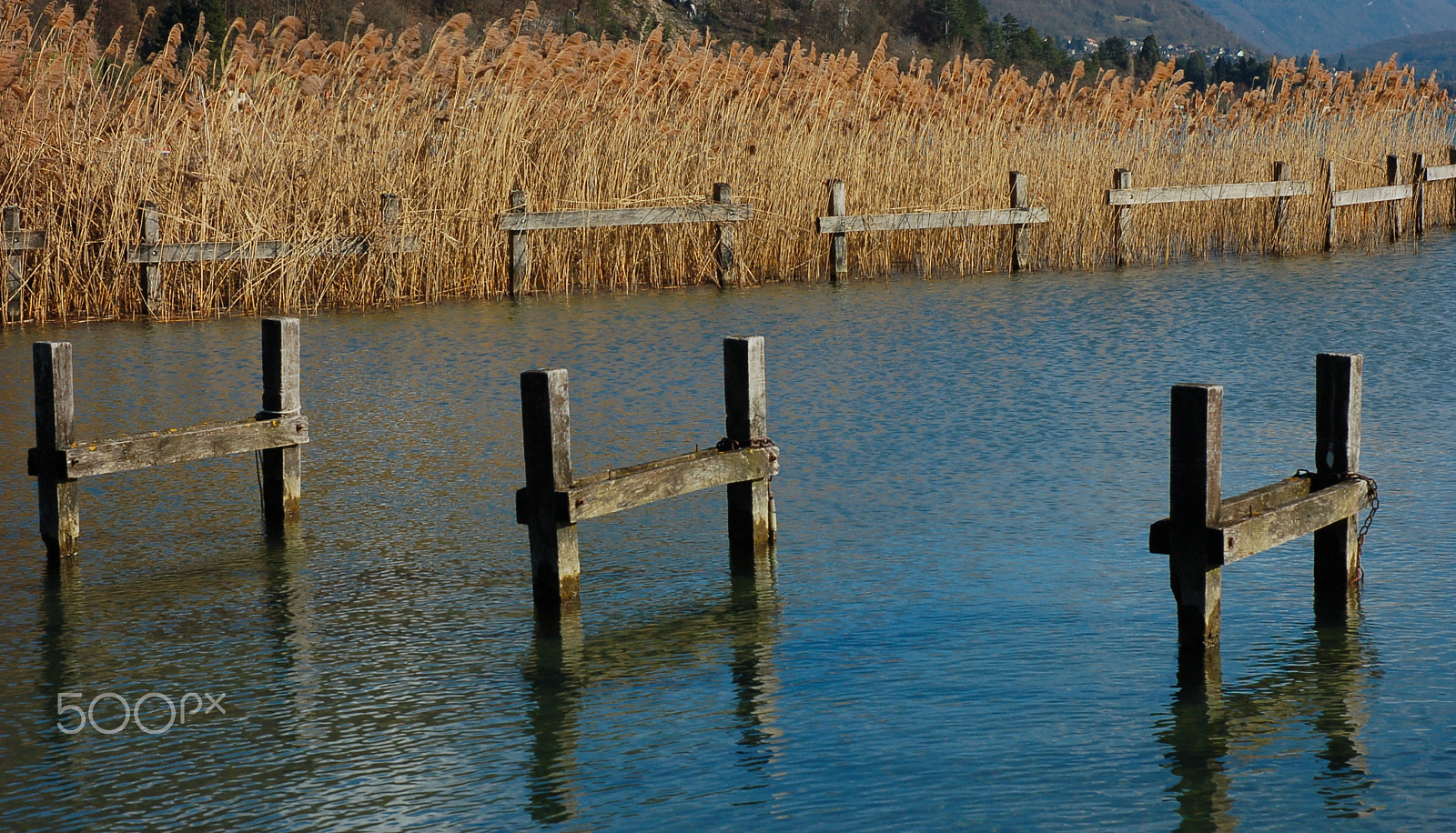 Nikon D50 sample photo. Photo photography