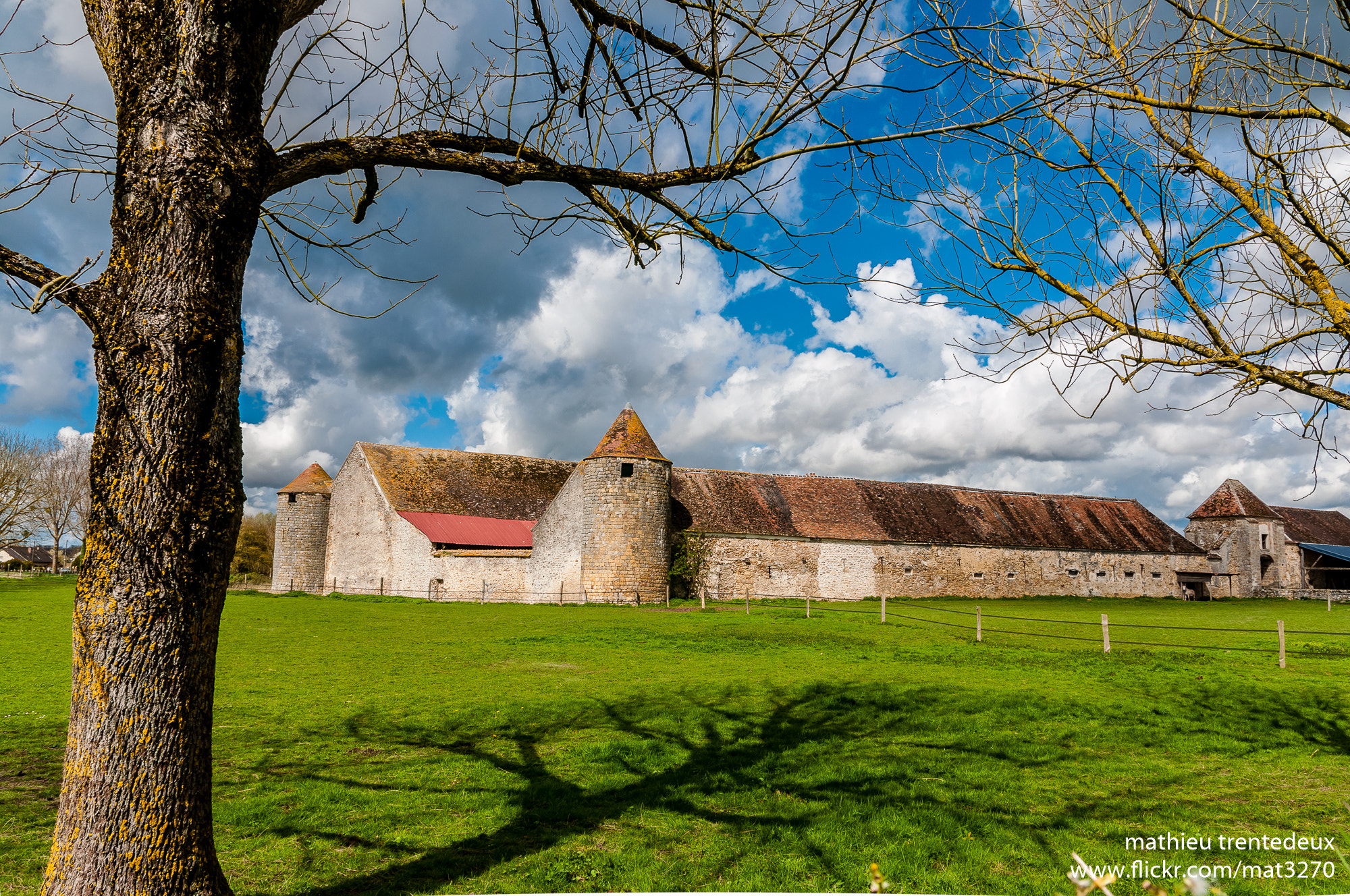 Nikon D90 + Sigma 17-70mm F2.8-4 DC Macro OS HSM | C sample photo. Grandpuits - ferme photography