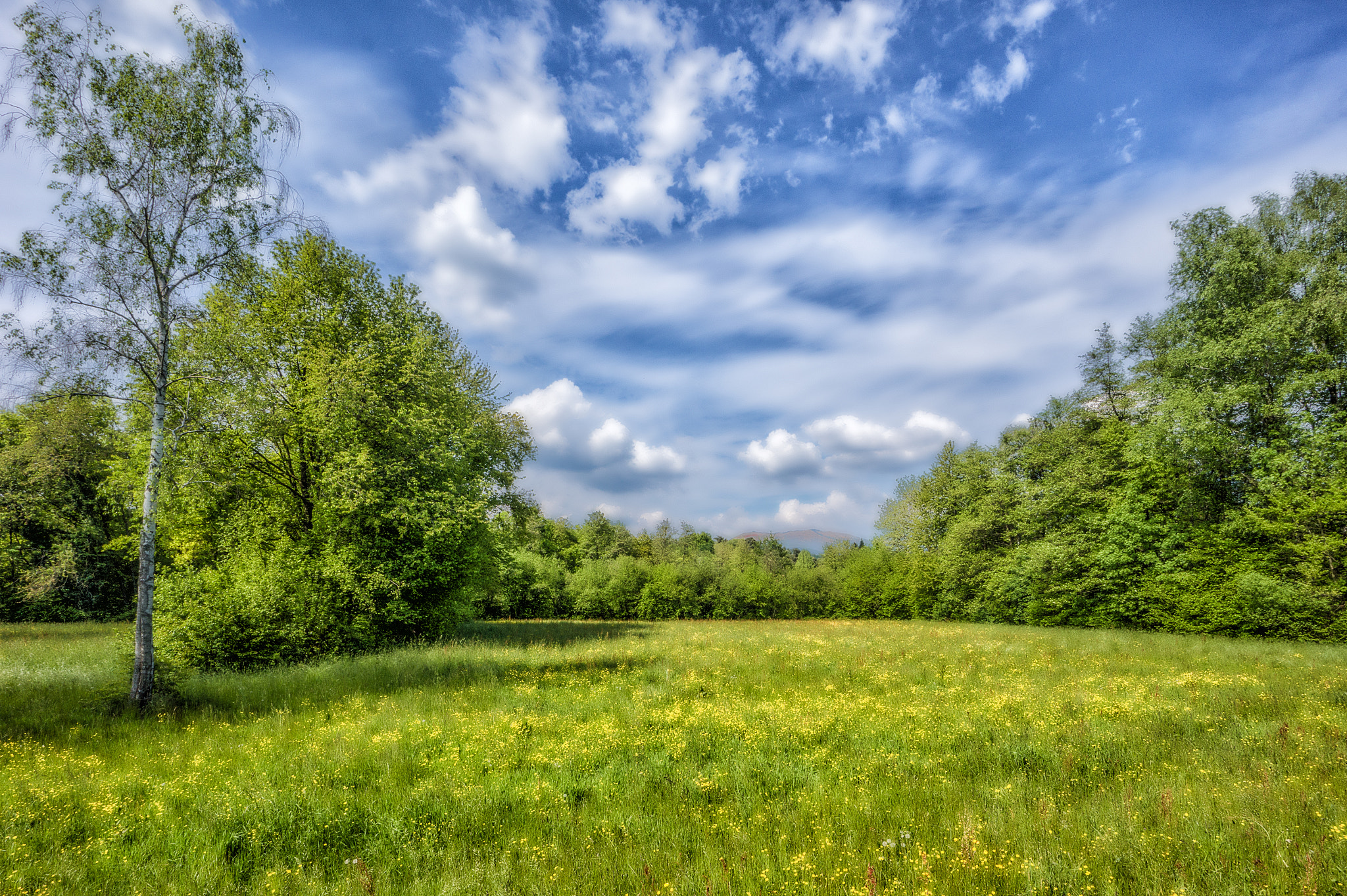 Sony Alpha a5000 (ILCE 5000) + Sony E 10-18mm F4 OSS sample photo. No place to retire photography